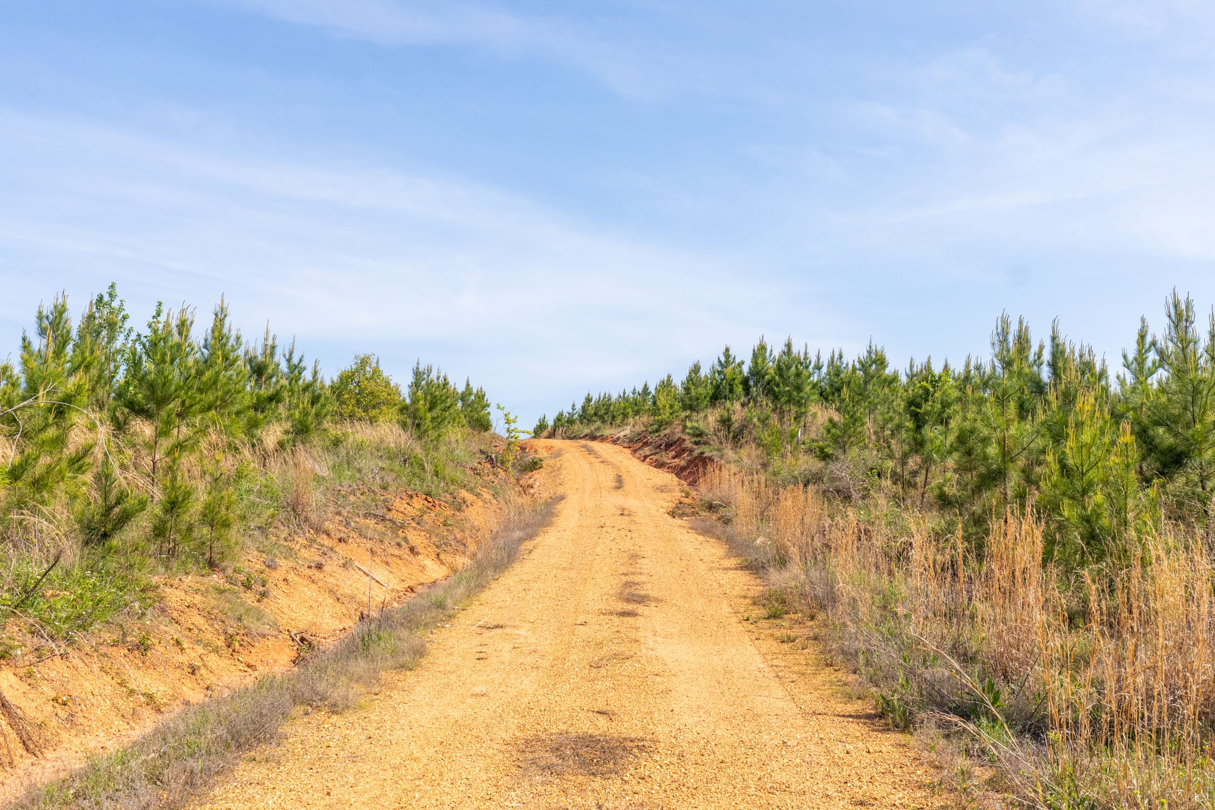 Clear Wood Tract 25 photo 5