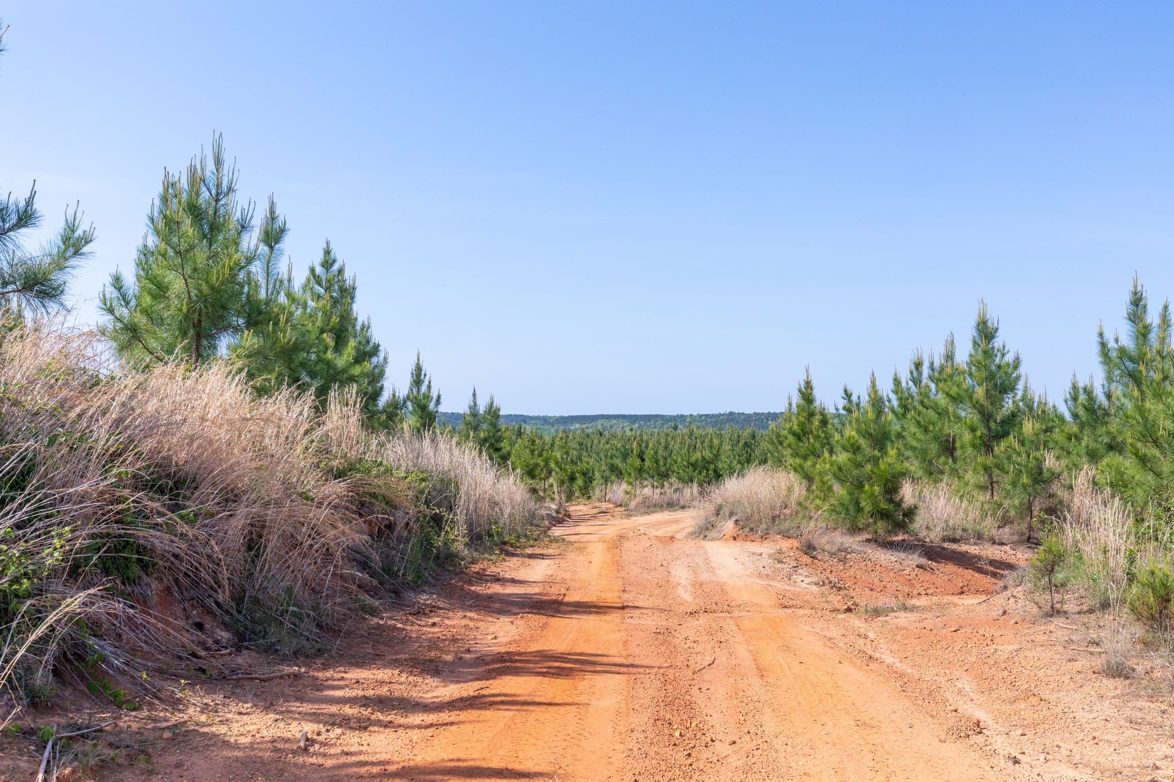 Clear Wood Tract 25 photo 4