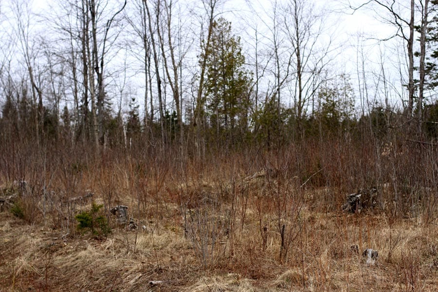 Sunrise Estates Tract 11 photo 6