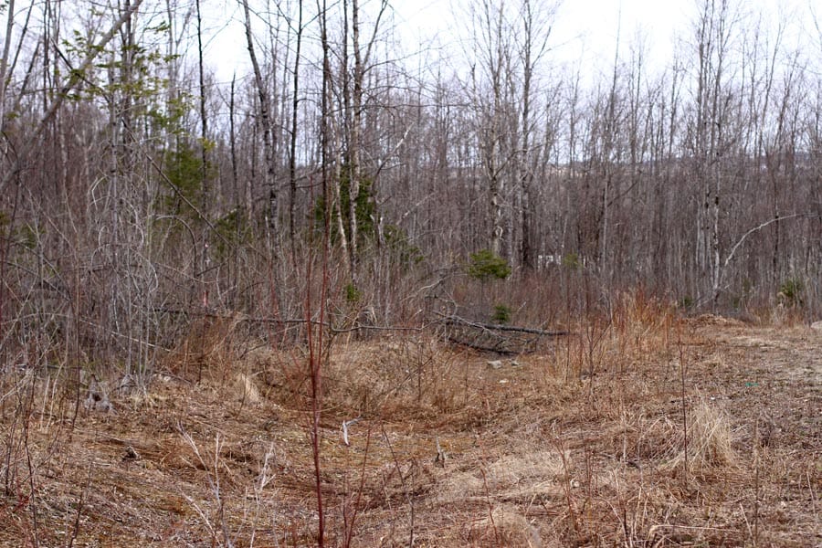 Sunrise Estates Tract 11 photo 8