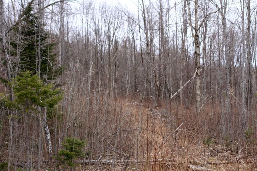 Sunrise Estates Tract 11 photo 12