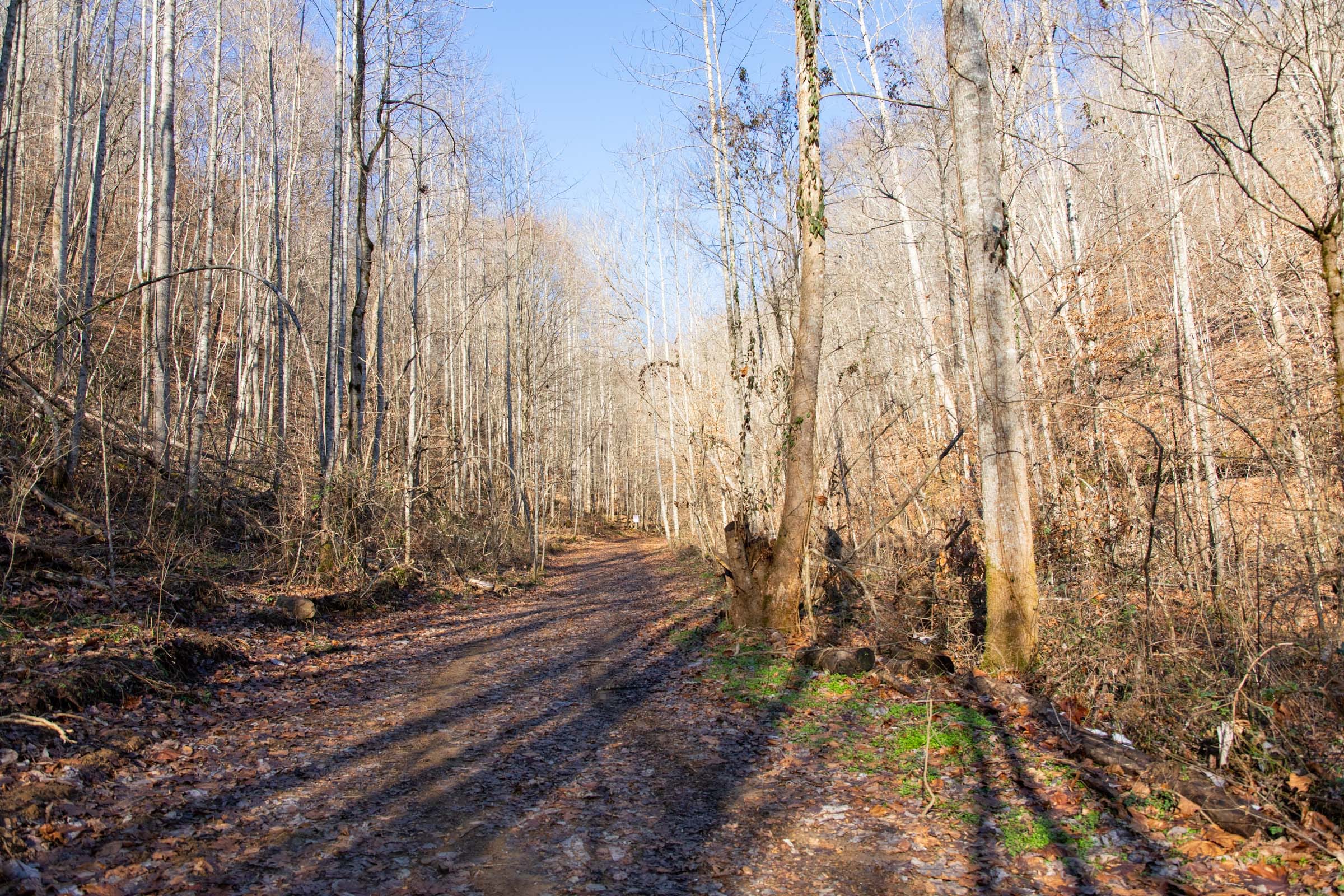 Blackstone Mountain Phase I Tract 9 photo 8
