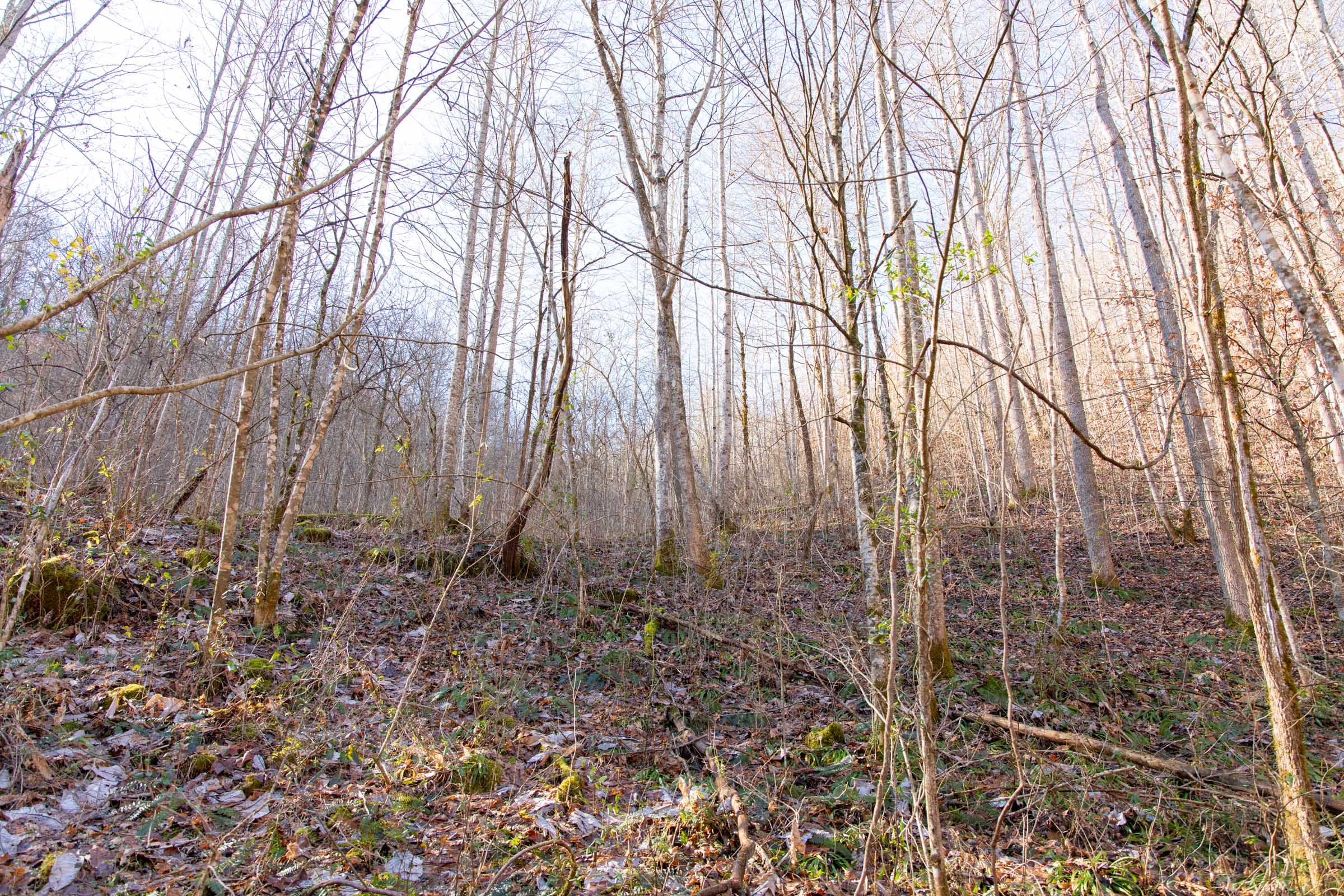 Blackstone Mountain Phase I Tract 9 photo 9