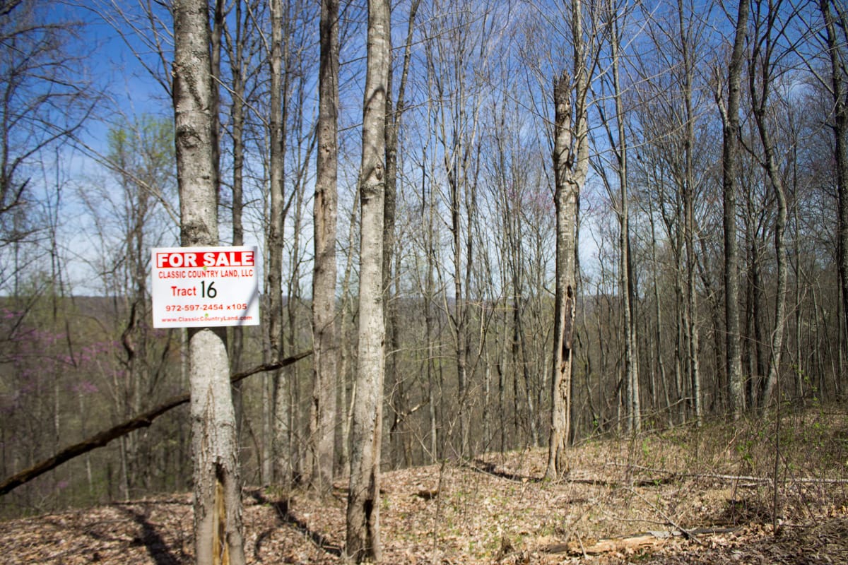 Chestnut Oak Ridge Tract 16 photo 1