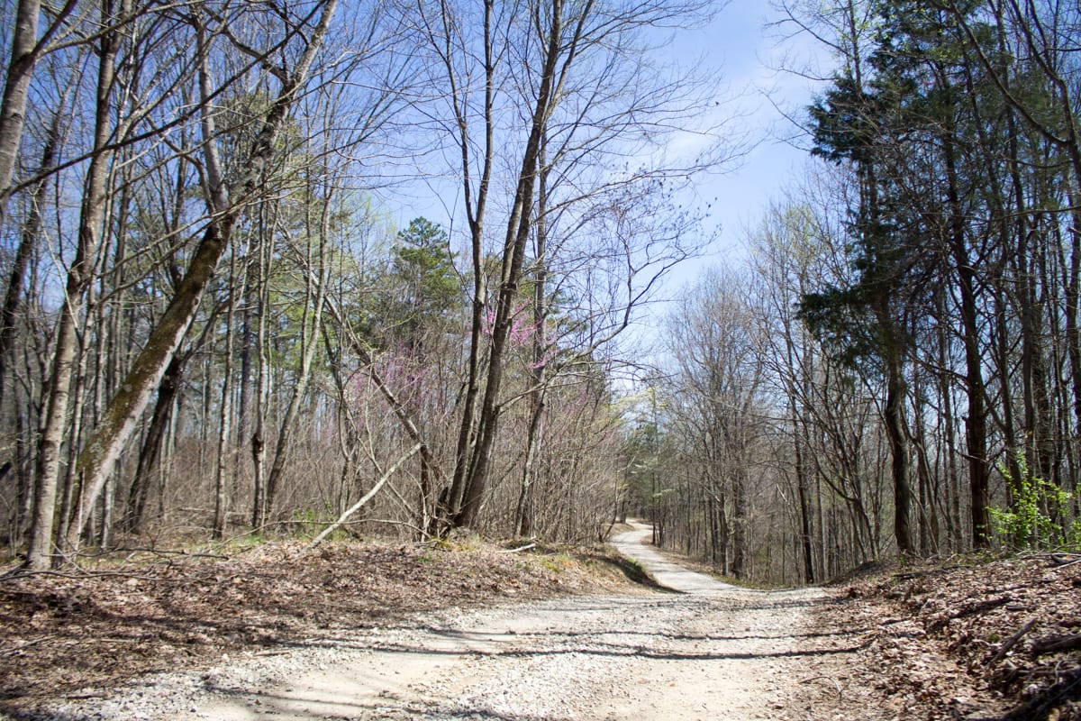 Chestnut Oak Ridge Tract 16 photo 3