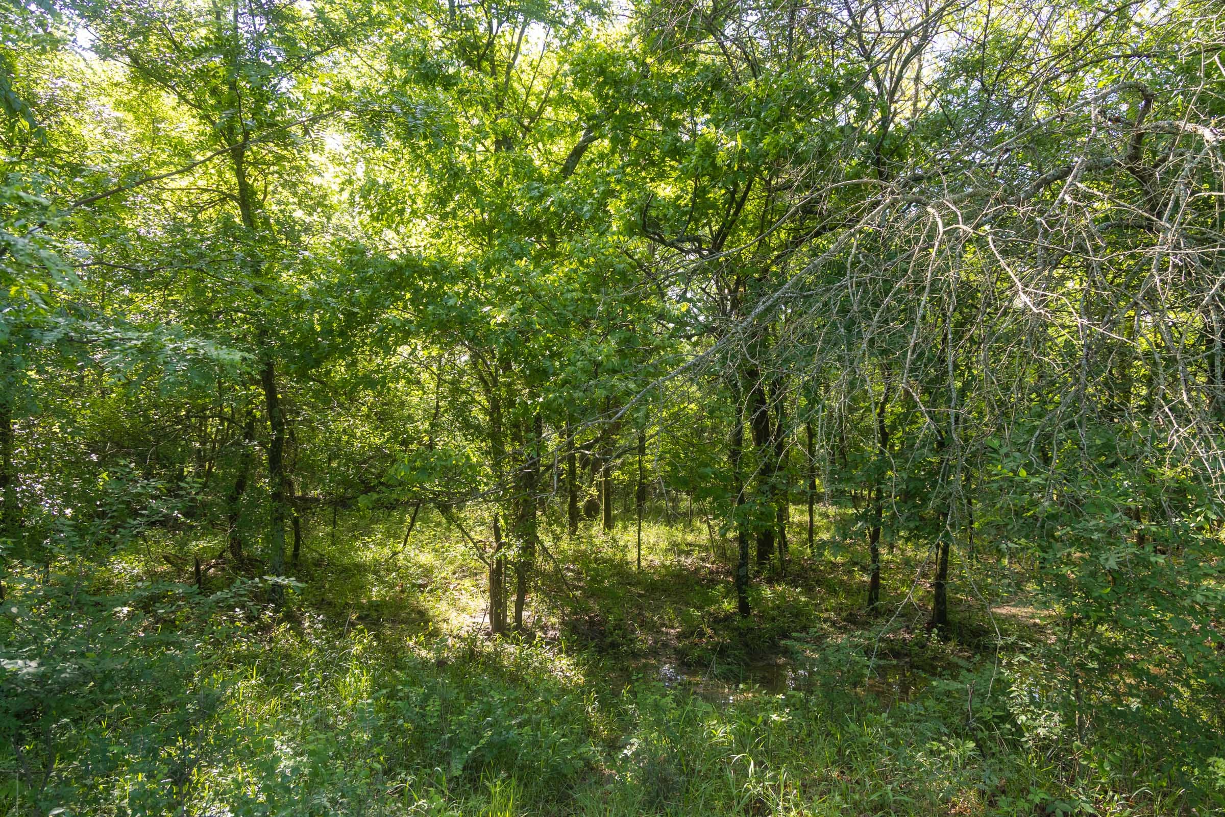 Harmony Hills Tract 24 photo 4