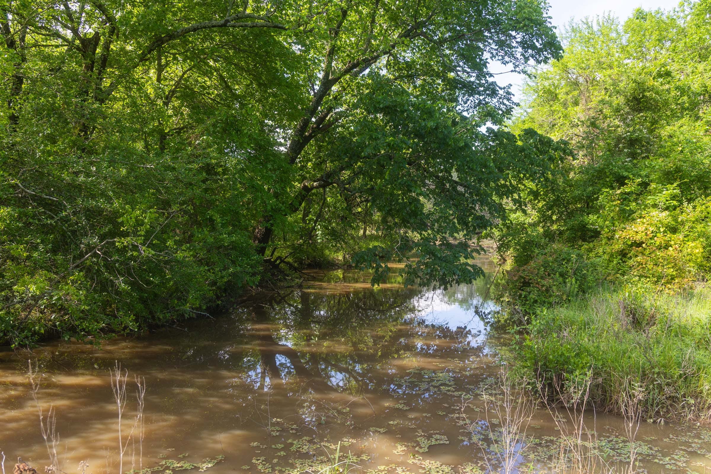 Harmony Hills Tract 24 photo 5