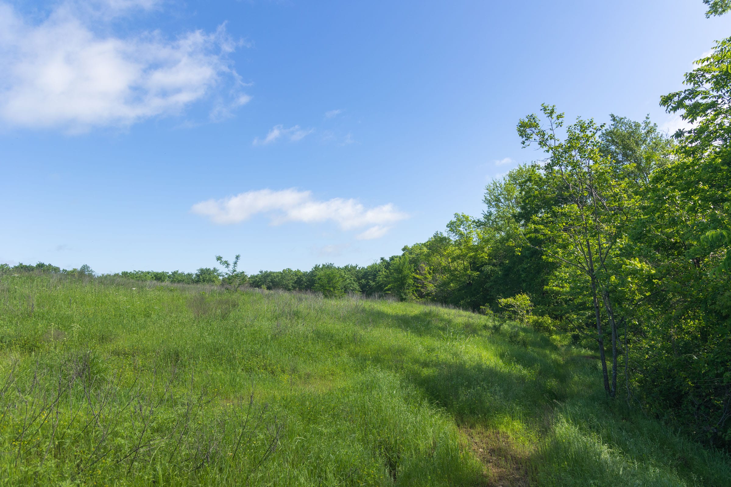 Harmony Hills Tract 24 photo 6