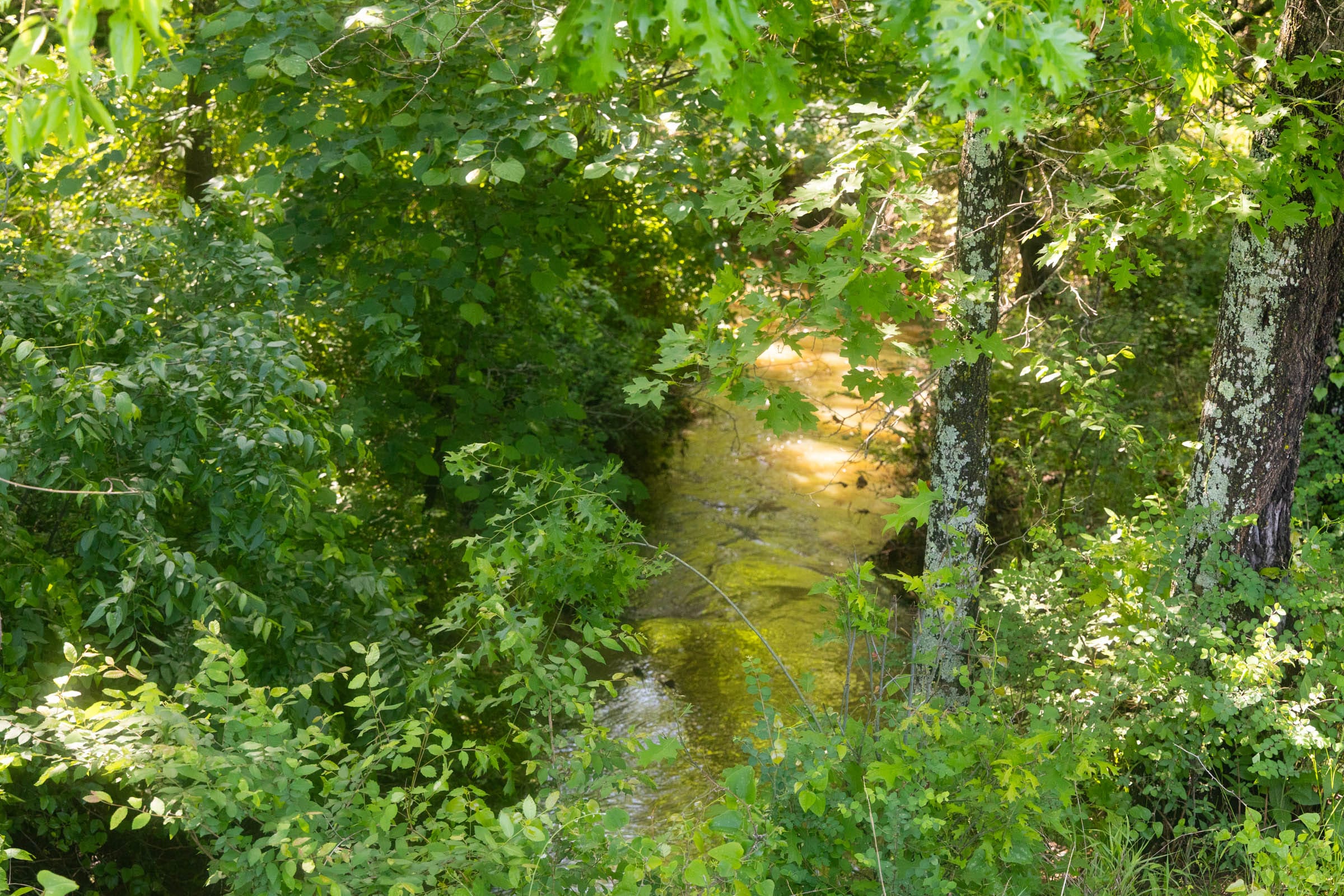 Harmony Hills Tract 24 photo 7