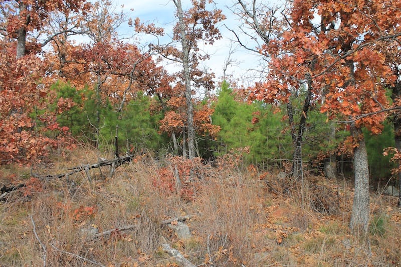 Indian Ridge – Phase I Tract 7 photo 4