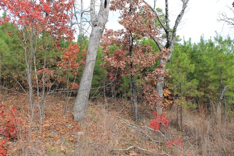 Indian Ridge – Phase I Tract 7 photo 5