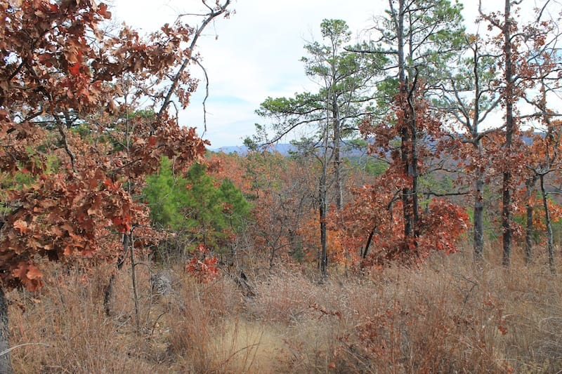 Indian Ridge – Phase I Tract 7 photo 6