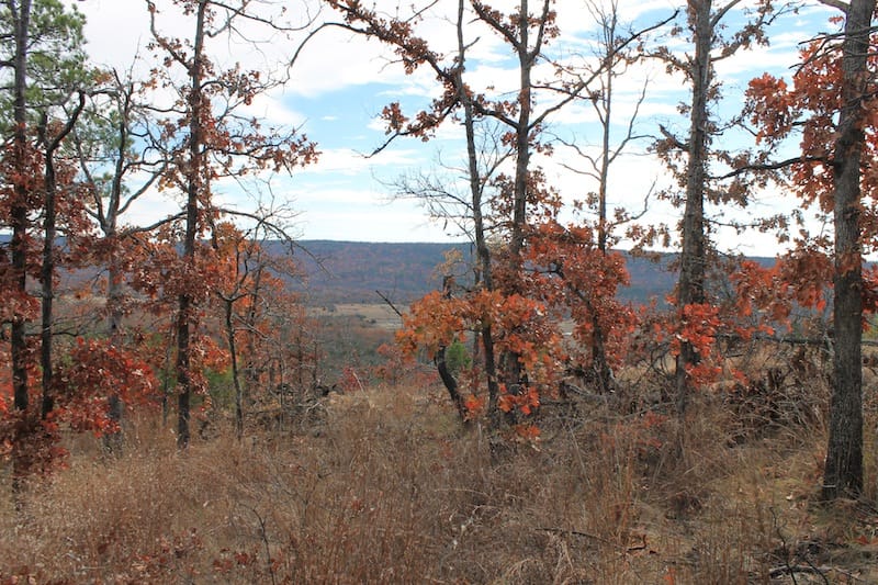 Indian Ridge – Phase I Tract 7 photo 7