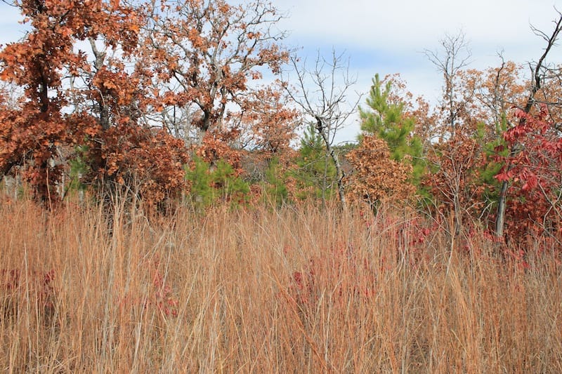 Indian Ridge – Phase I Tract 7 photo 9