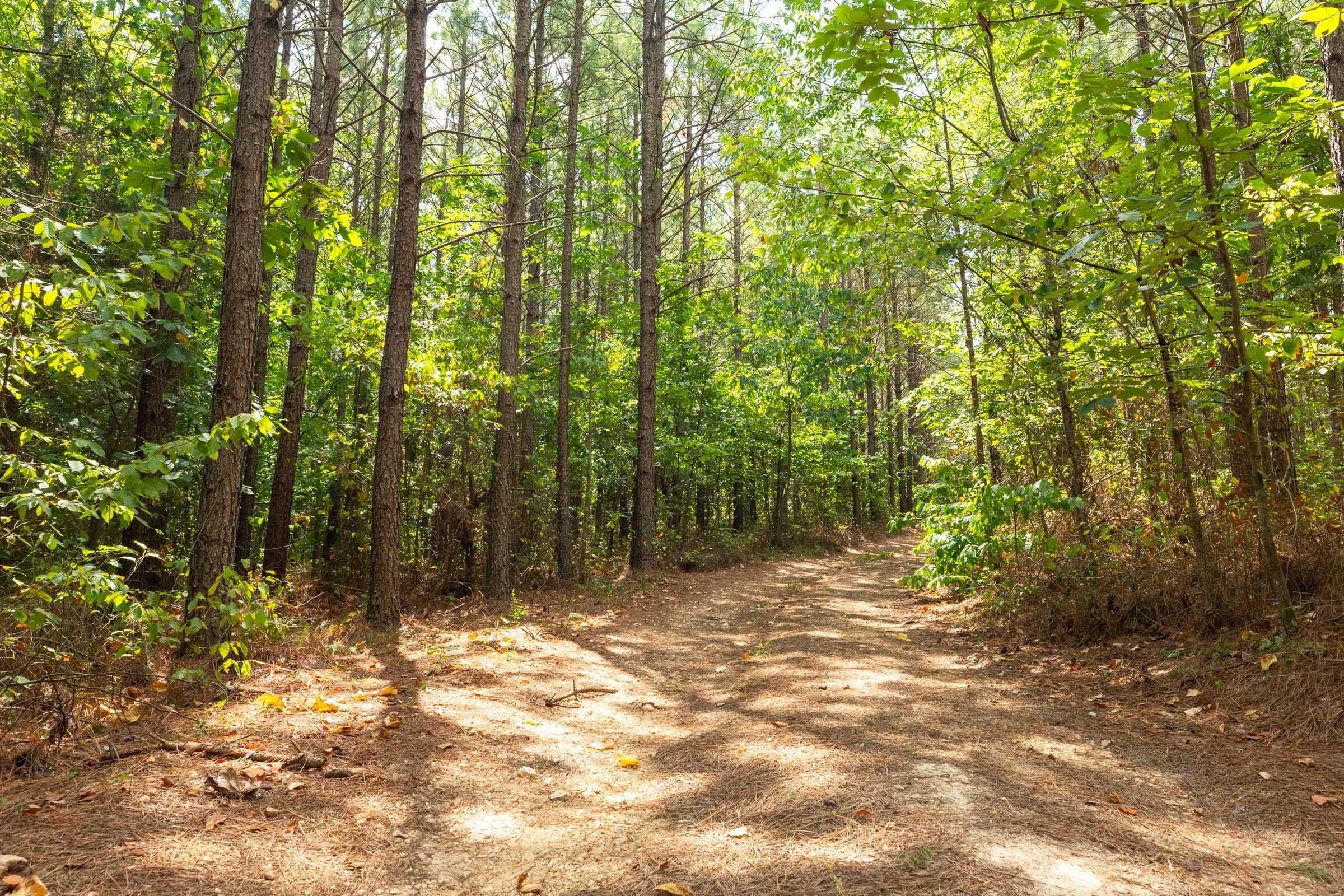Harvest Ridge Tract 5 photo 8