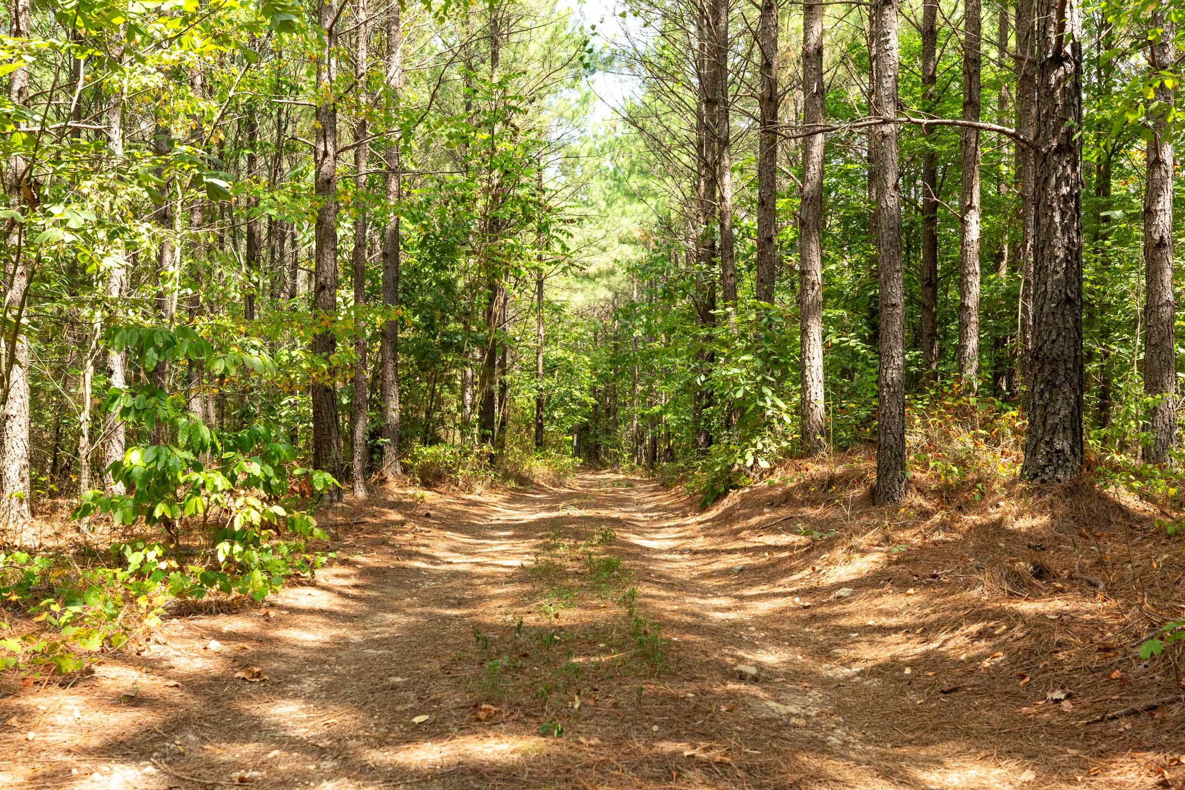 Harvest Ridge Tract 5 photo 1