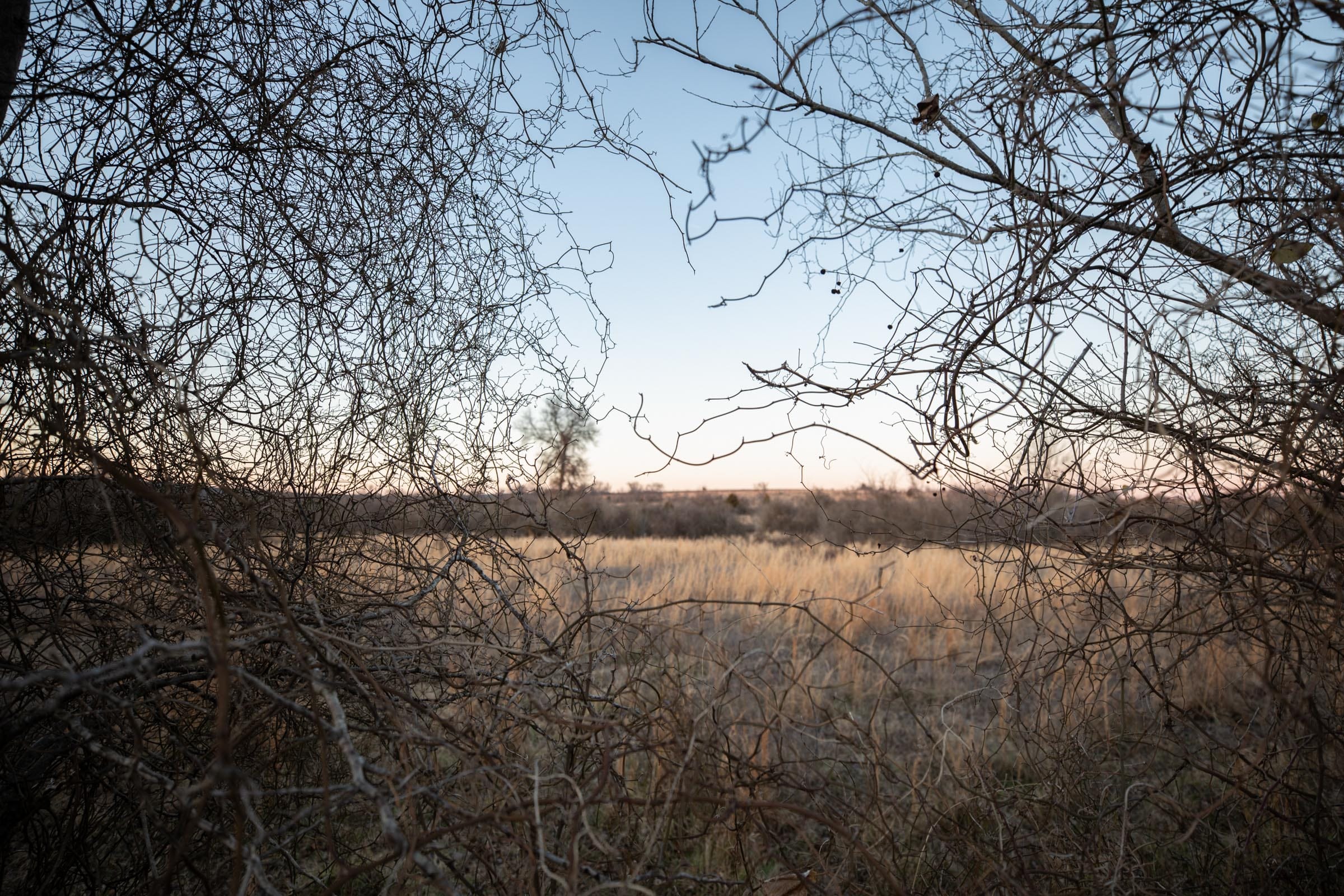 Painted Horse Tract 6 photo 7