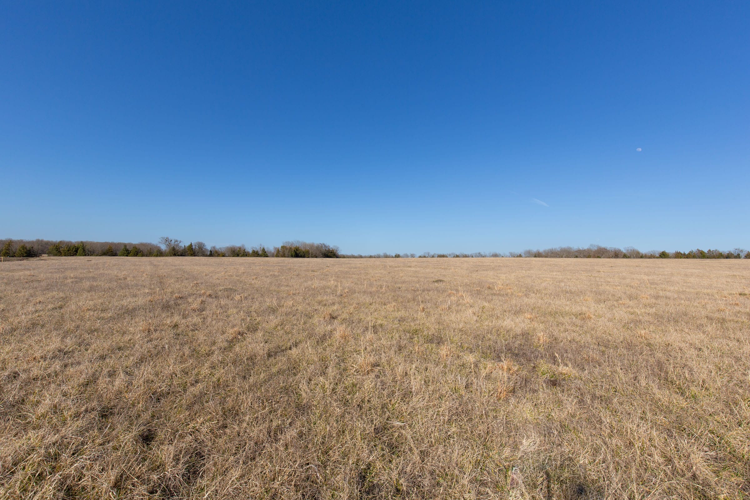 Wishing Star Ranch Tract 78 photo 3
