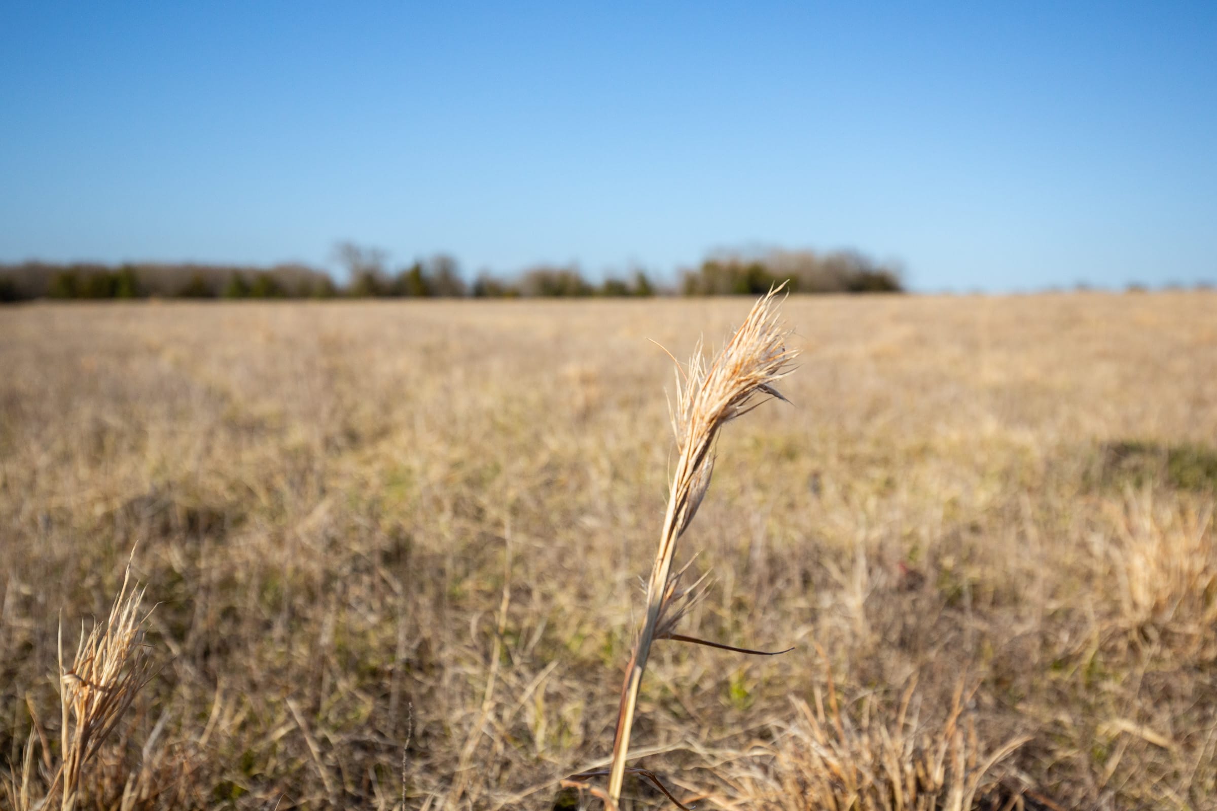 Wishing Star Ranch Tract 78 photo 4