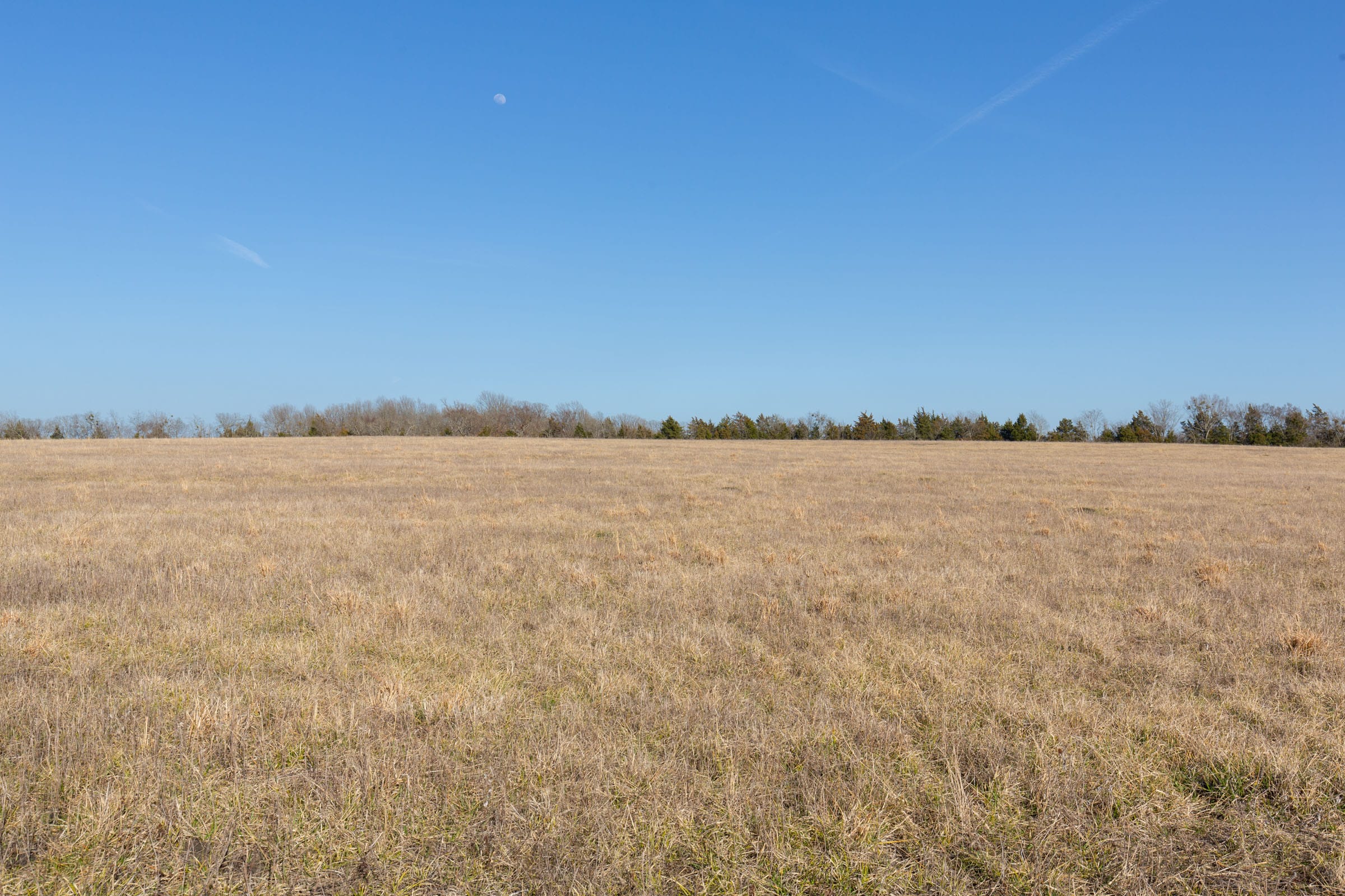 Wishing Star Ranch Tract 78 photo 5