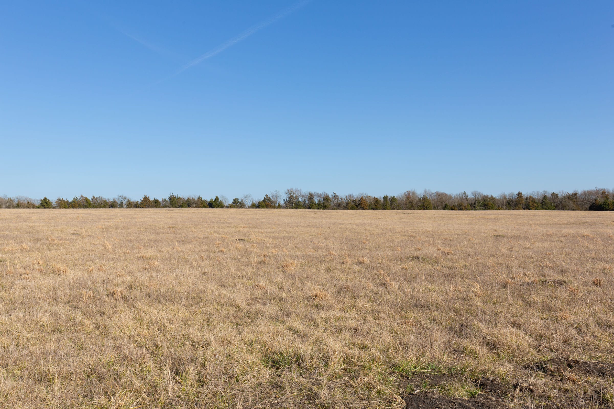 Wishing Star Ranch Tract 78 photo 6