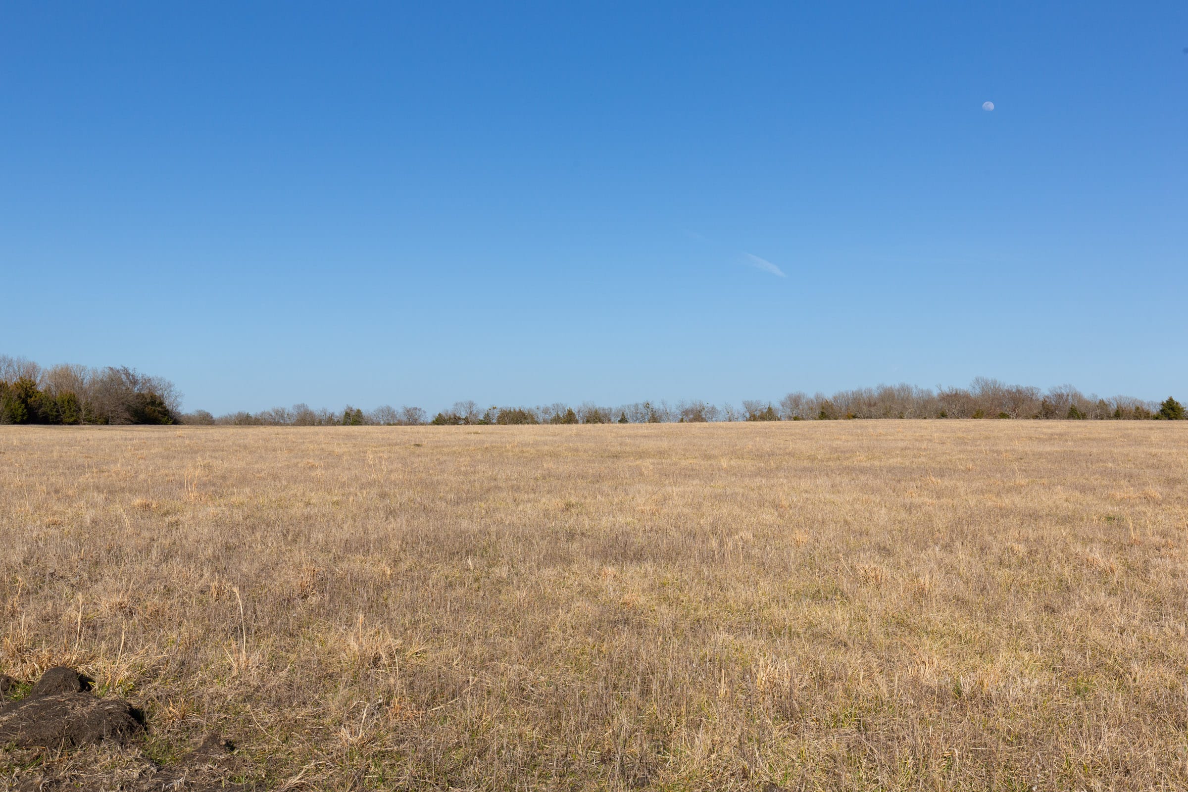 Wishing Star Ranch Tract 78 photo 8