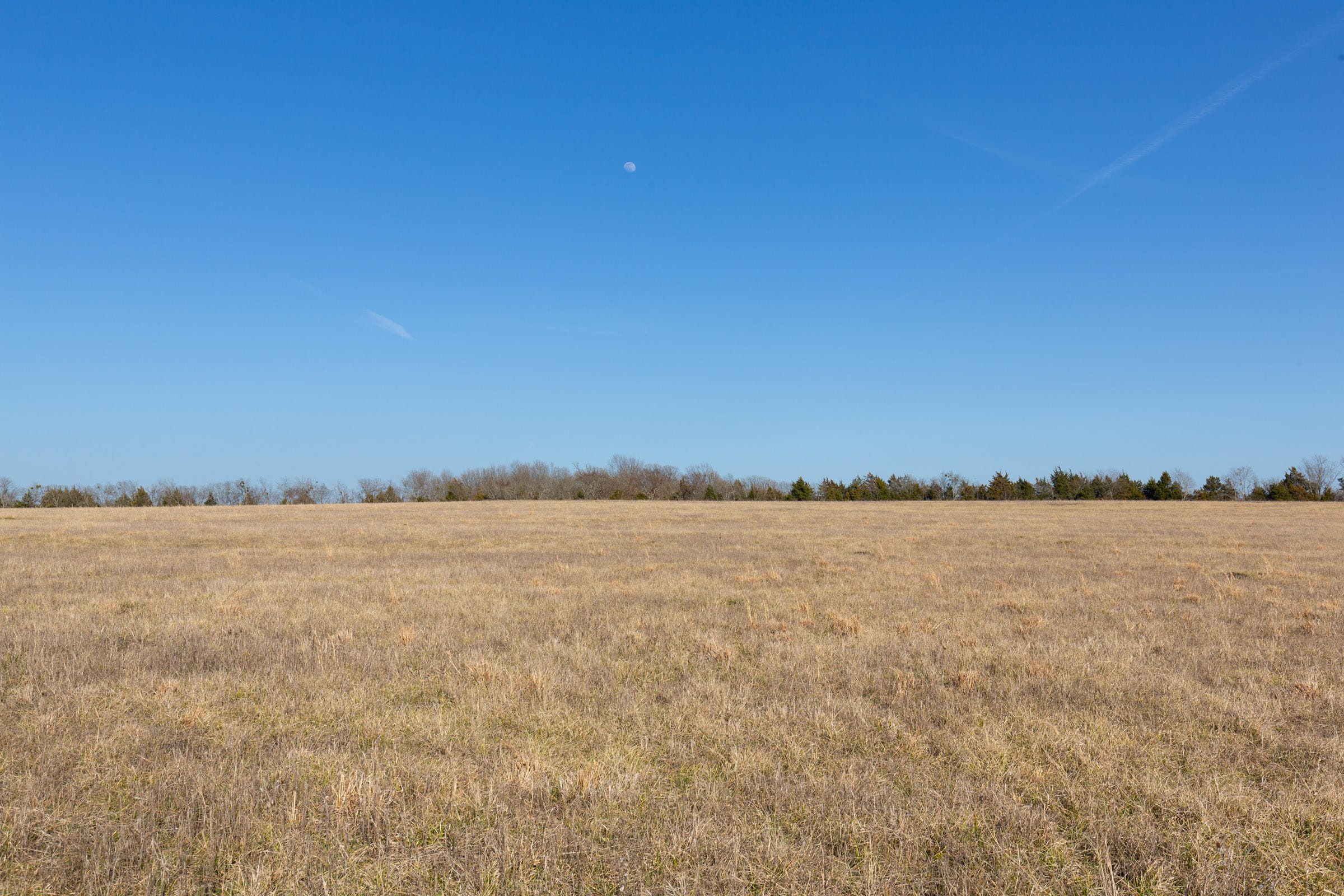 Wishing Star Ranch Tract 78 photo 9