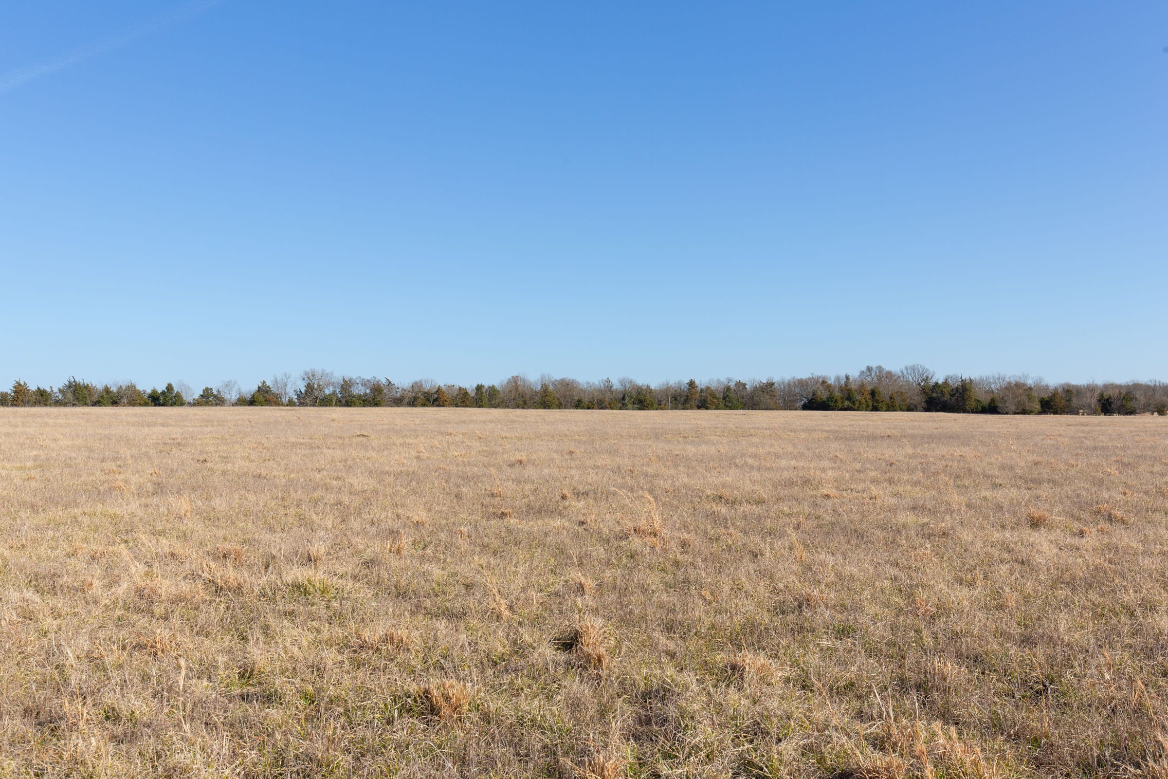 Wishing Star Ranch Tract 78 photo 10