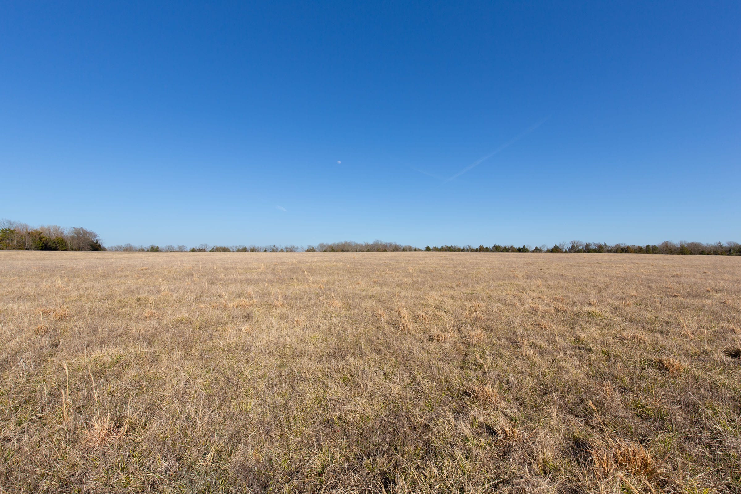 Wishing Star Ranch Tract 78 photo 11