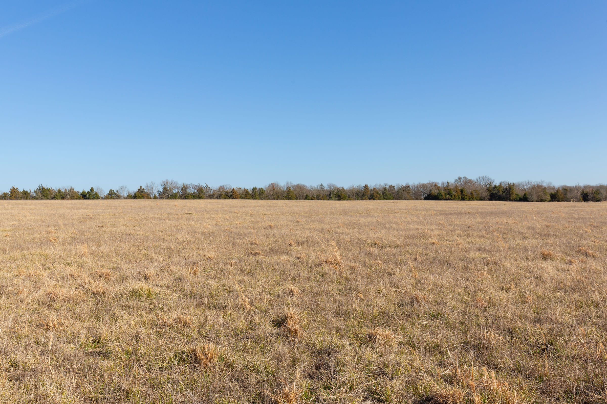 Wishing Star Ranch Tract 78 photo 12