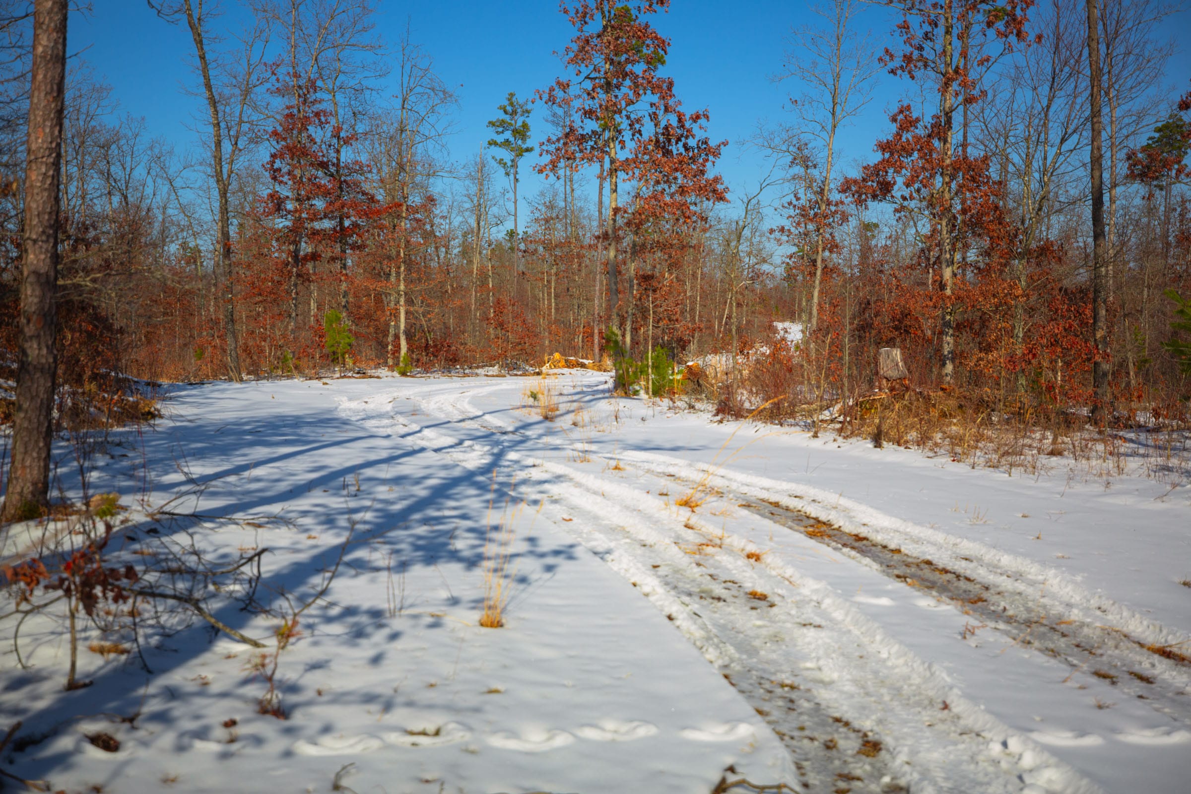 Sleepy Hollow Phase I Tract 12 photo 6