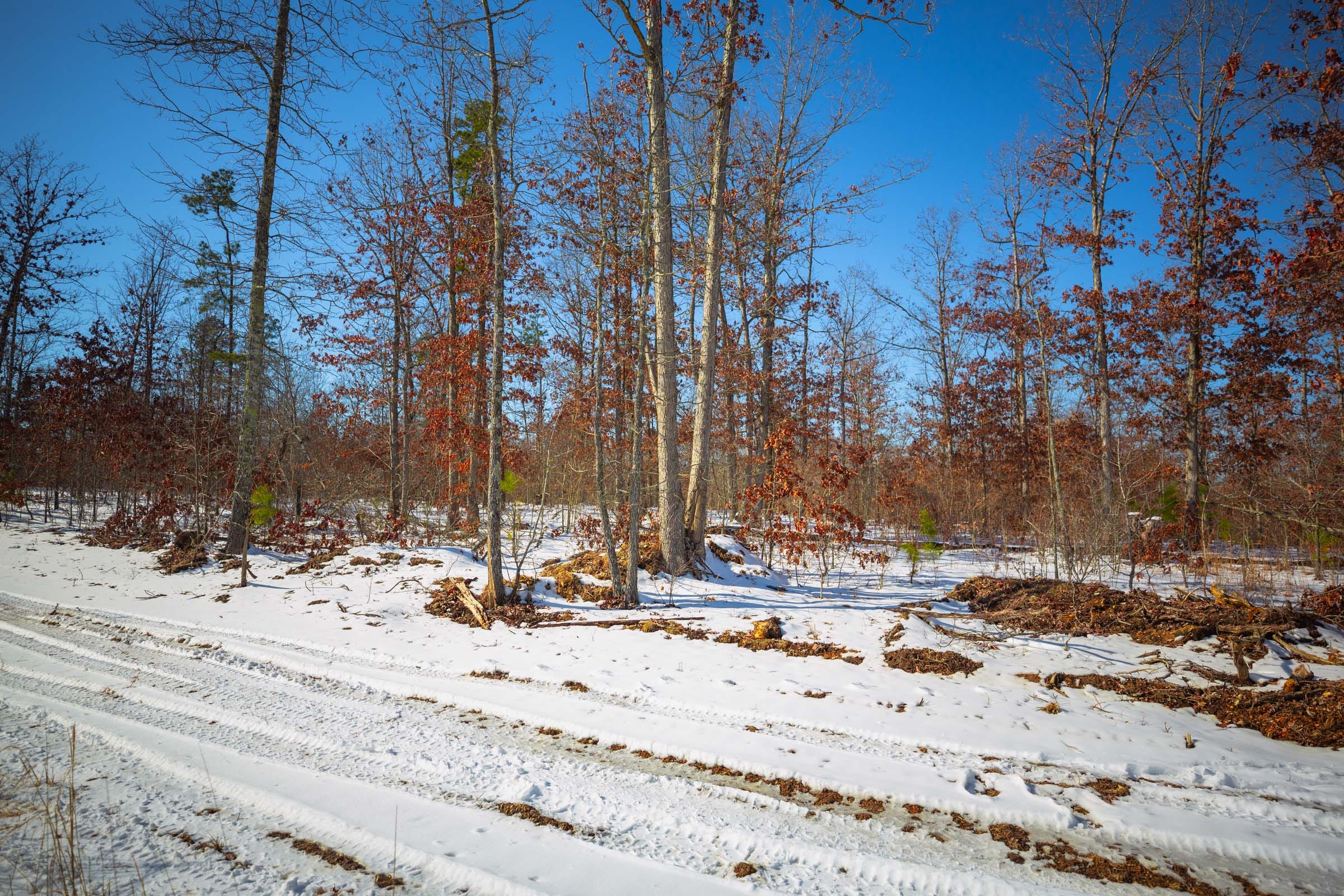 Sleepy Hollow Phase I Tract 12 photo 5
