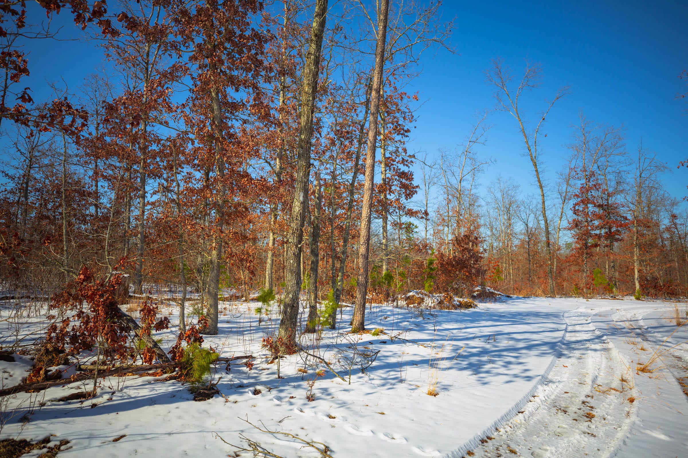 Sleepy Hollow Phase I Tract 12 photo 3