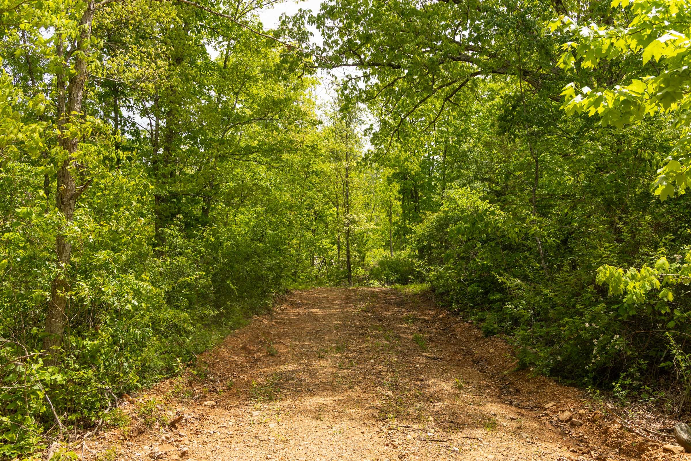Stardust Estates Tract 14 photo 13