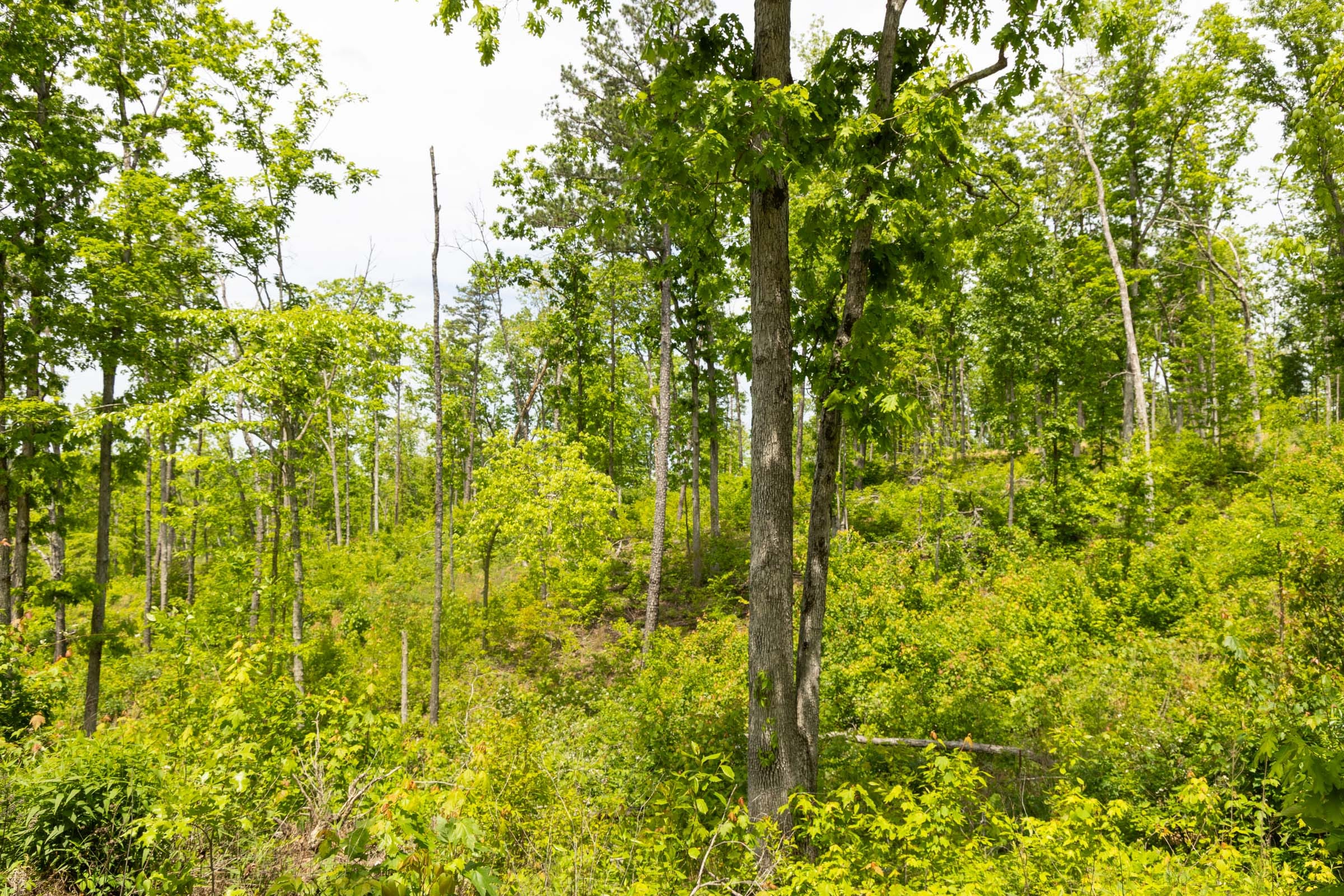 Stardust Estates Tract 14 photo 7