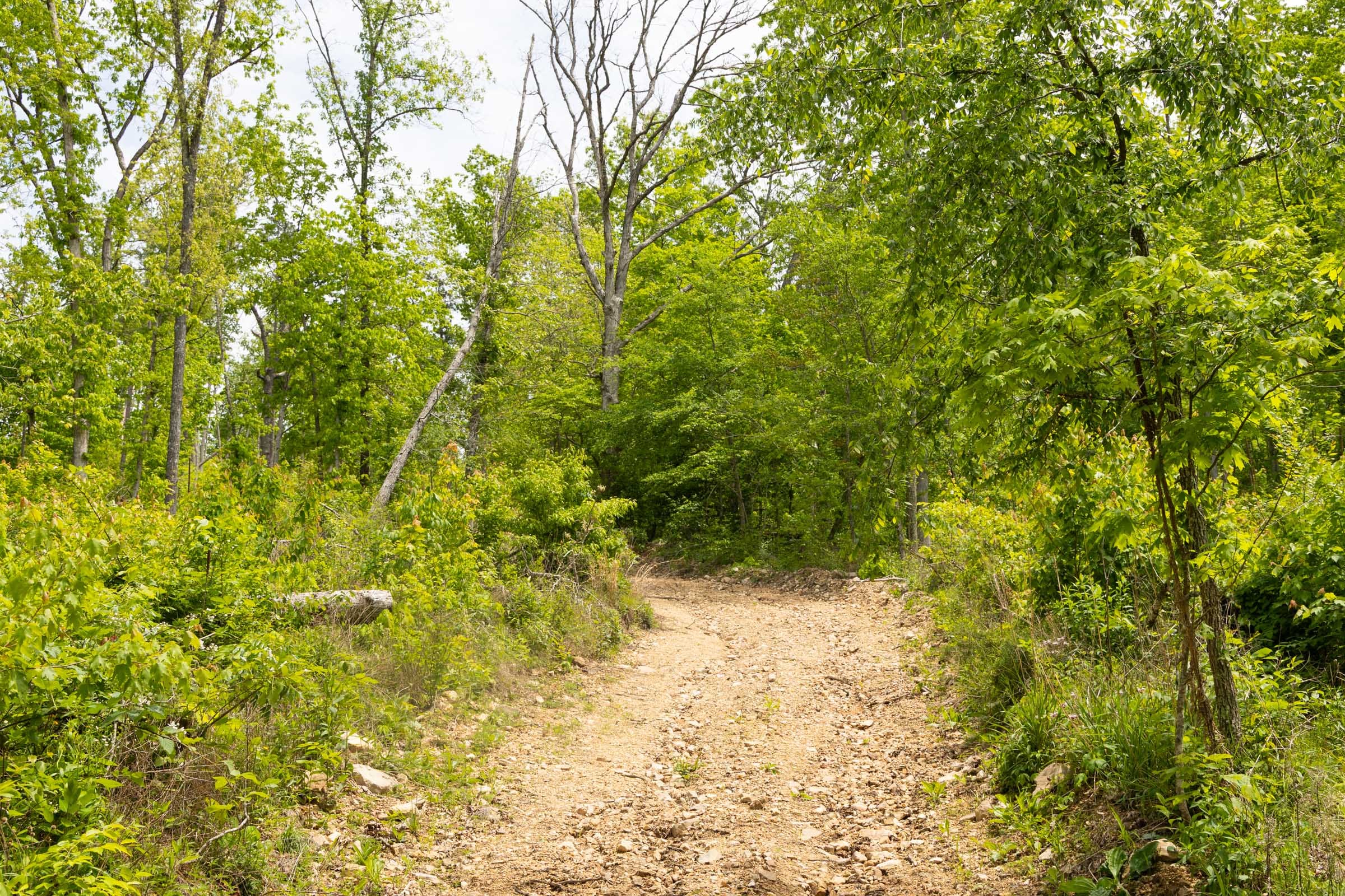 Stardust Estates Tract 14 photo 9
