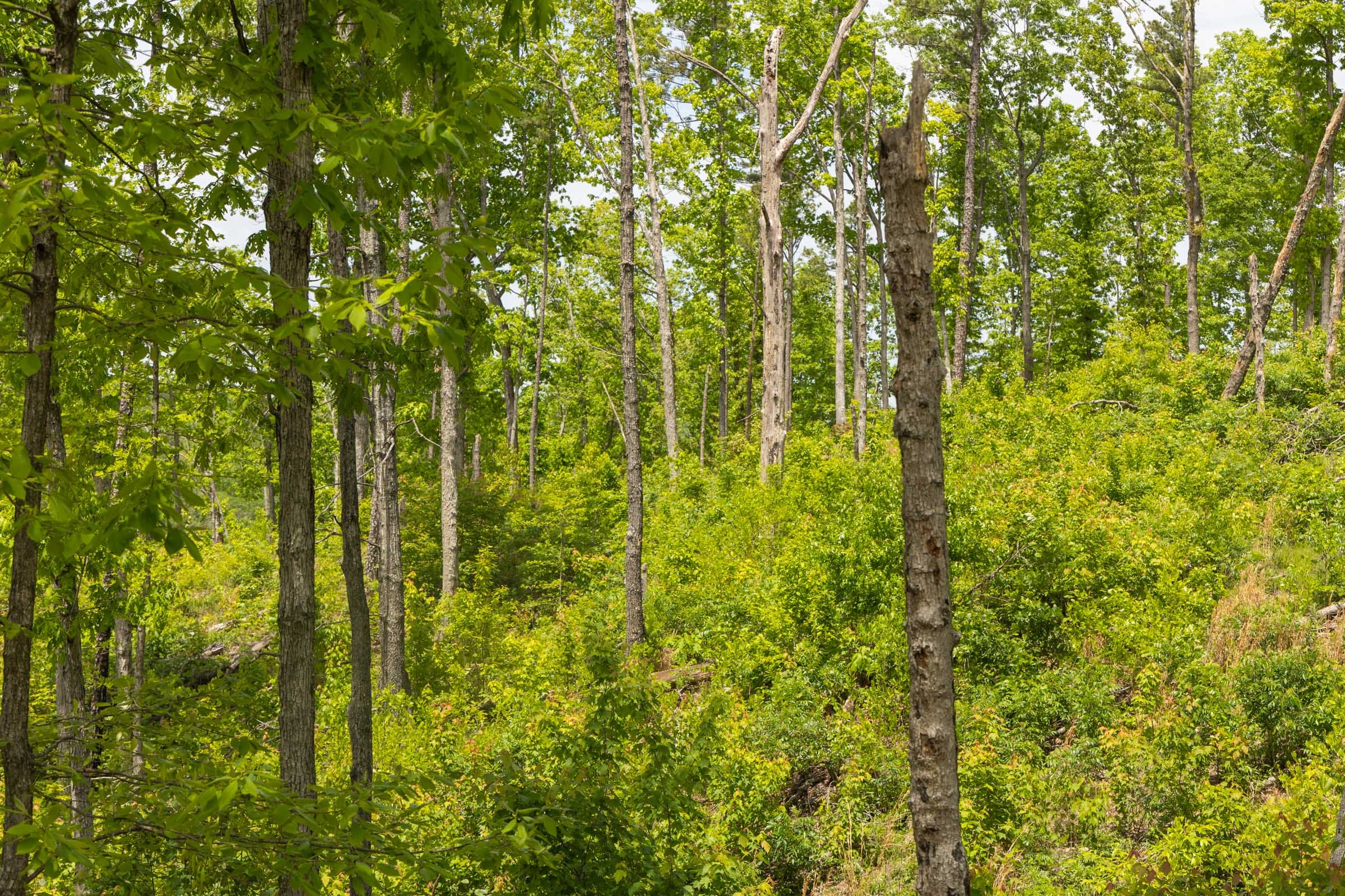 Stardust Estates Tract 14 photo 11