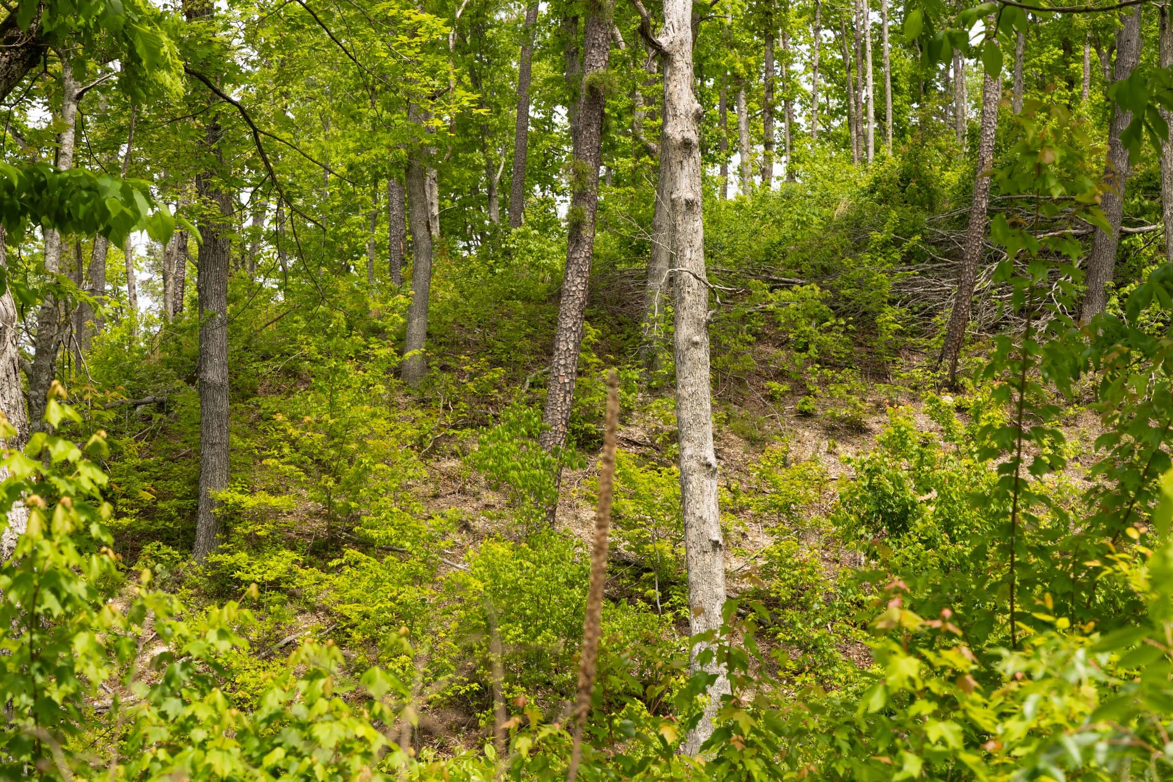 Stardust Estates Tract 14 photo 12