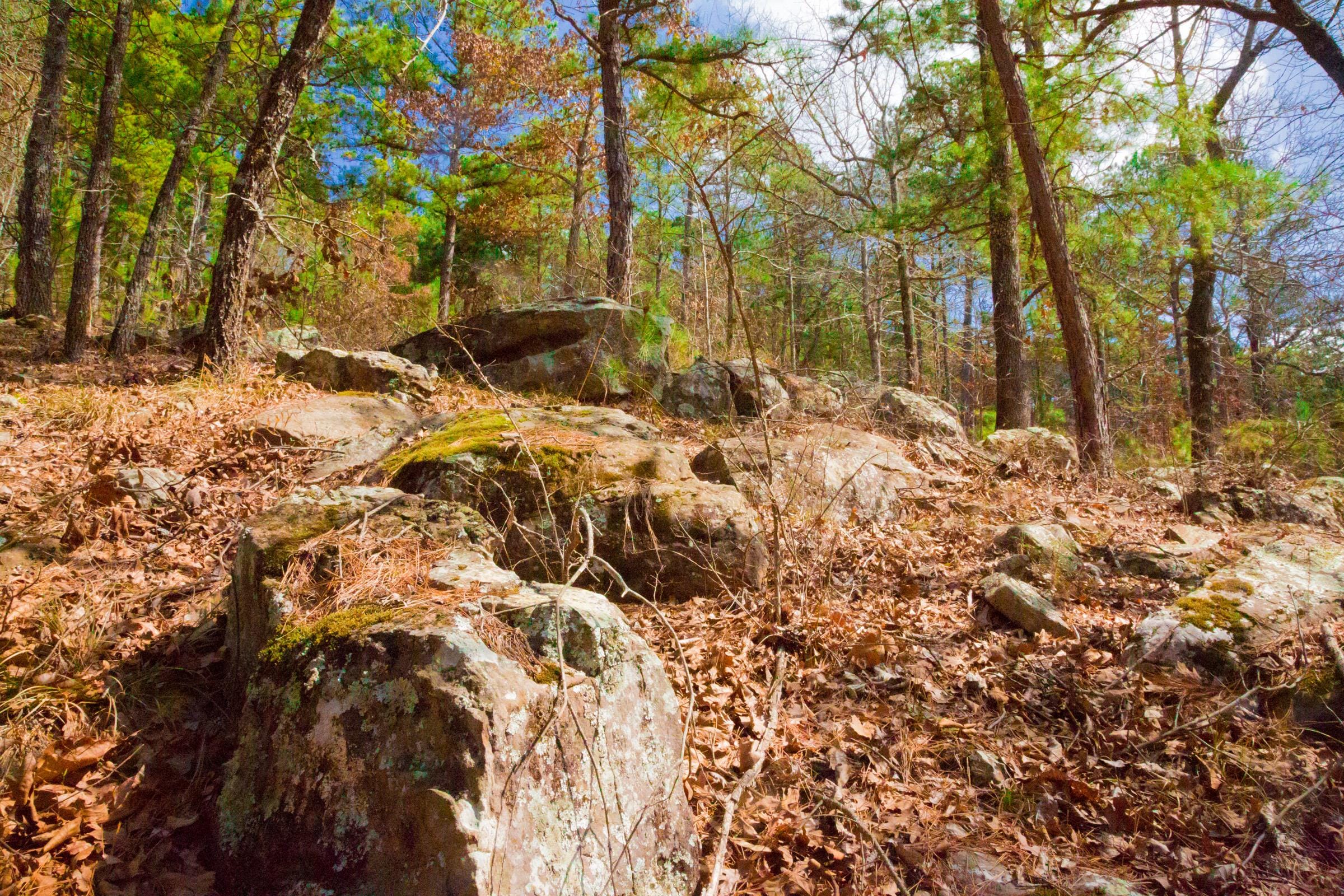 Stone Creek Phase II Tract 93 photo 3