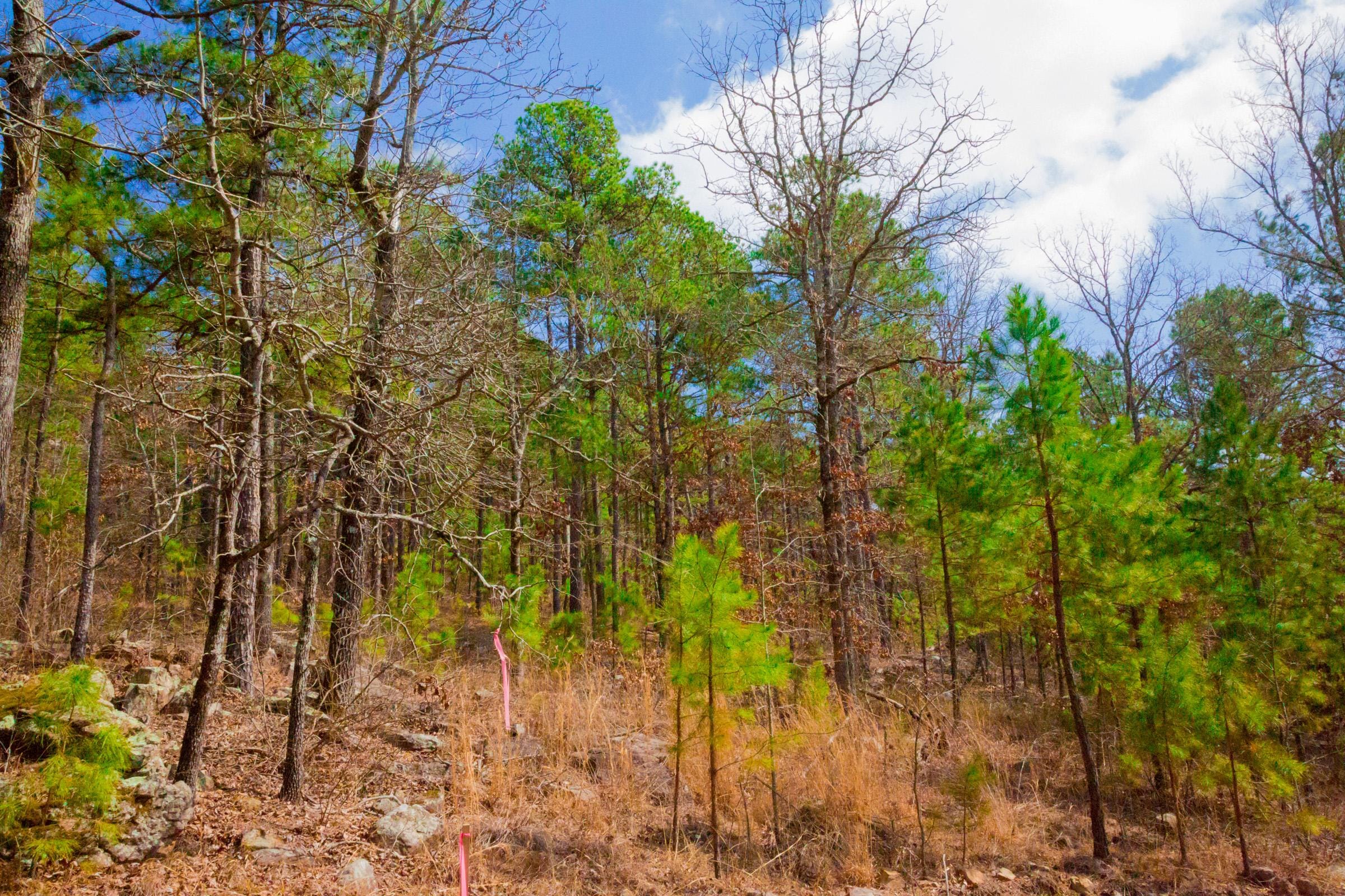 Stone Creek Phase II Tract 93 photo 6