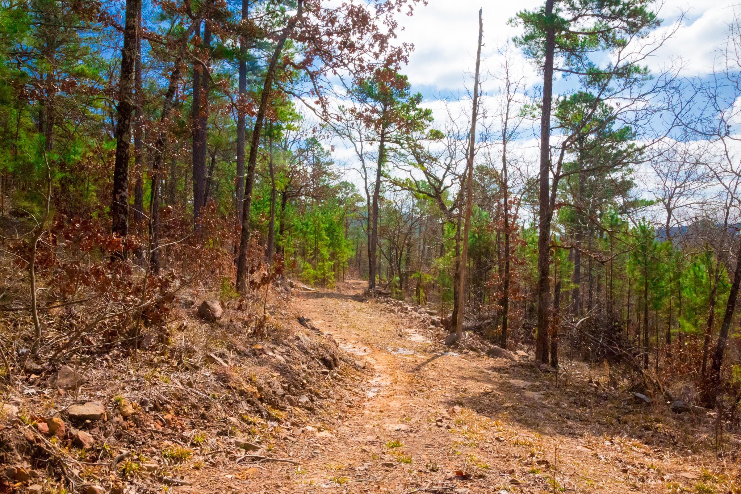 Stone Creek Phase II Tract 93 photo 1