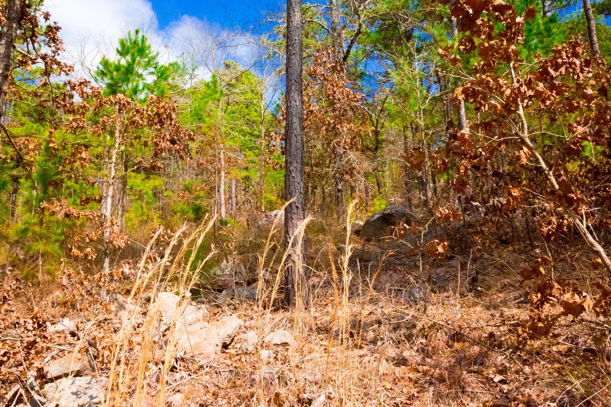 Stone Creek Phase II Tract 93 photo 8