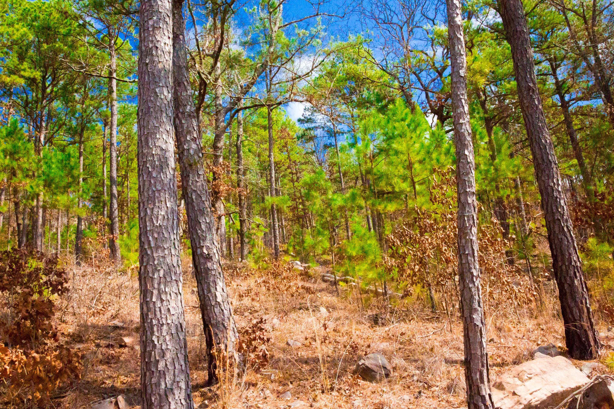 Stone Creek Phase II Tract 93 photo 9
