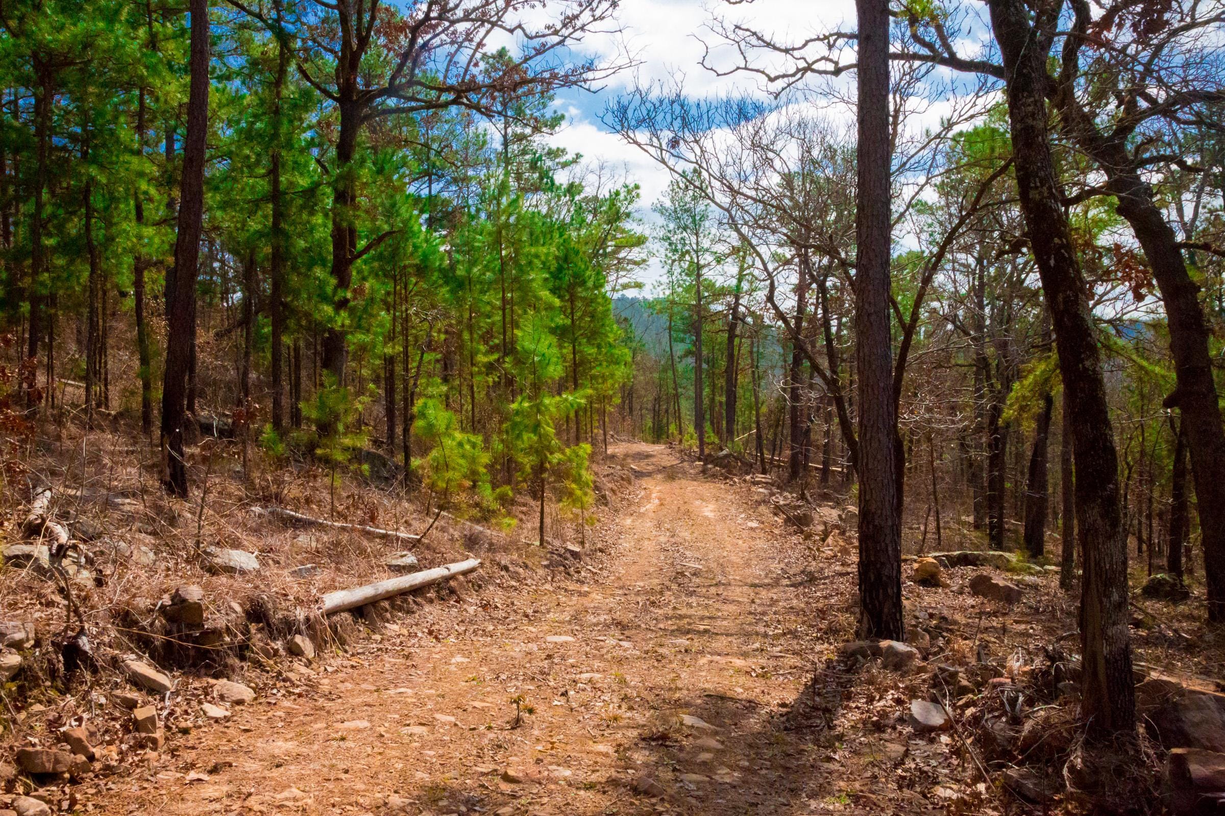 Stone Creek Phase II Tract 93 photo 10