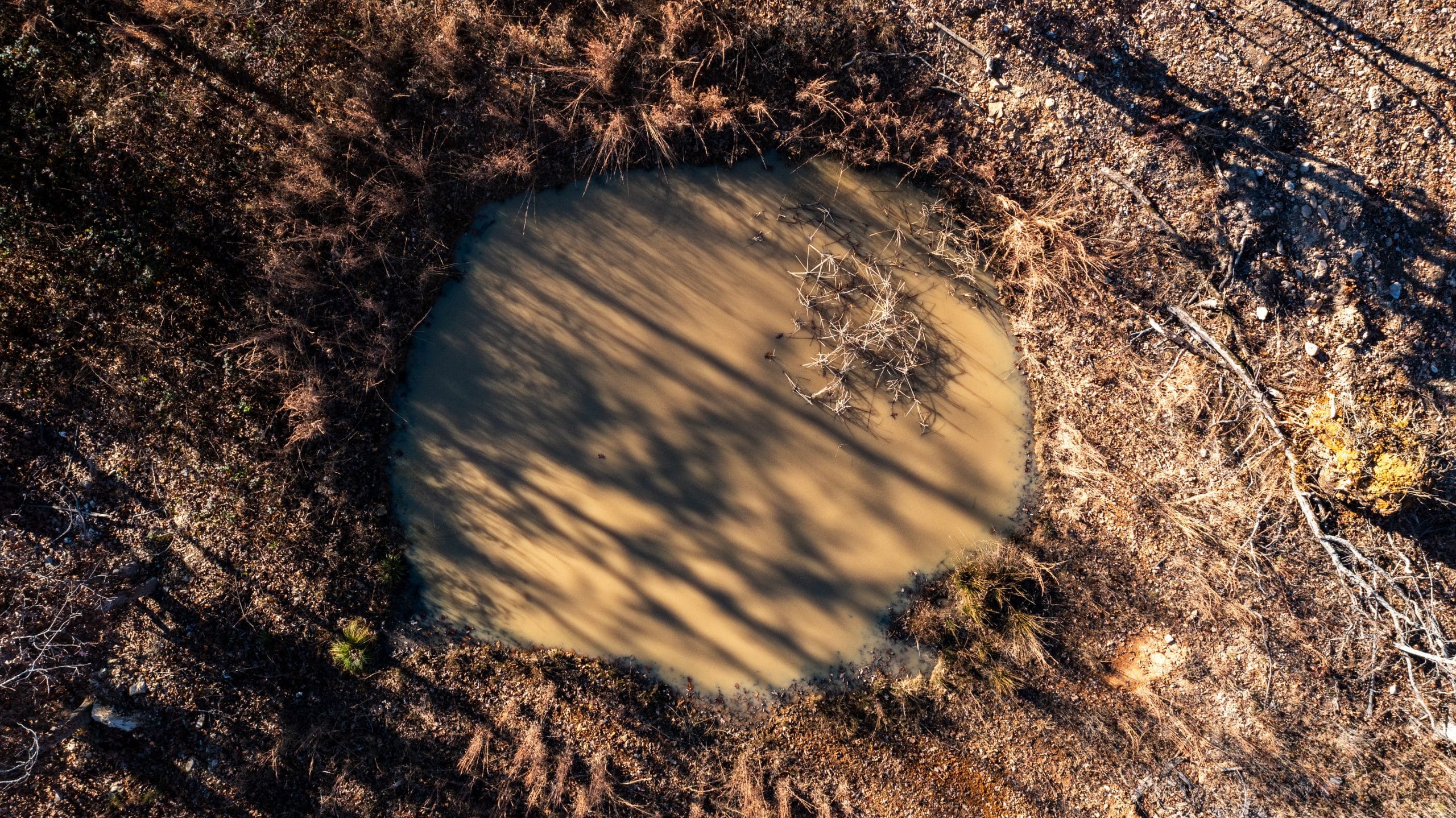Dutchman Hollow photo 3