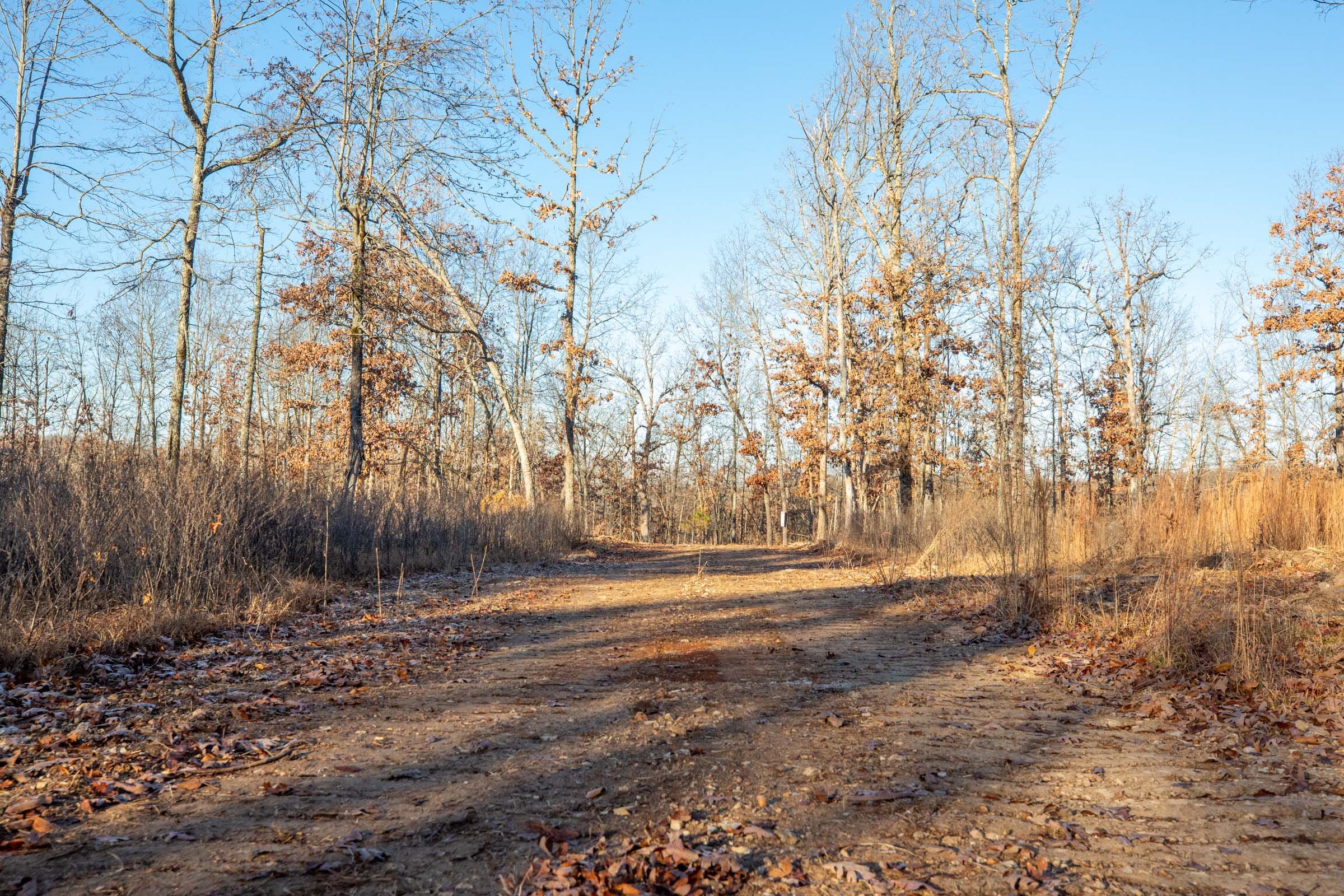 Dutchman Hollow Tract 6 photo 1