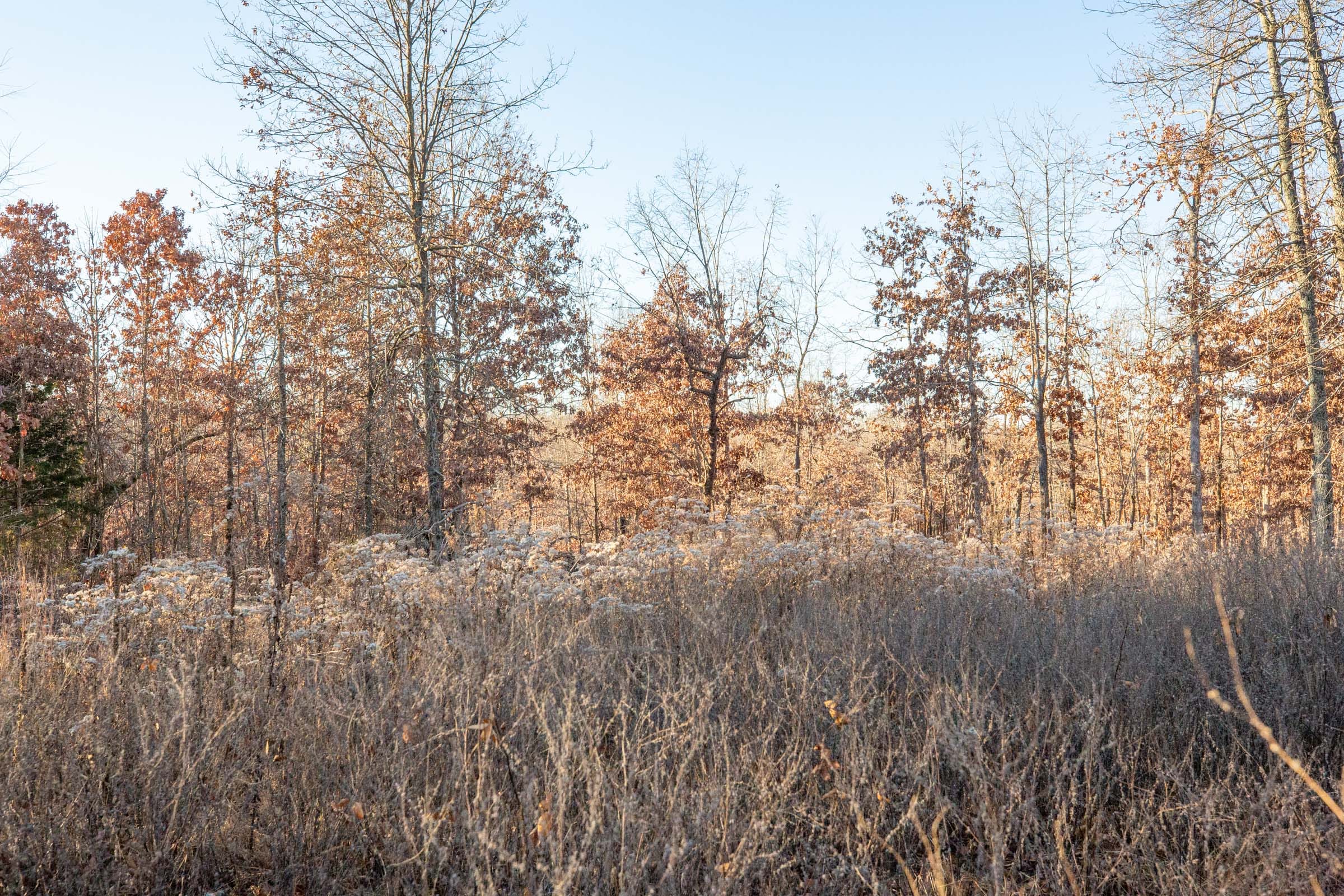 Dutchman Hollow Tract 6 photo 3