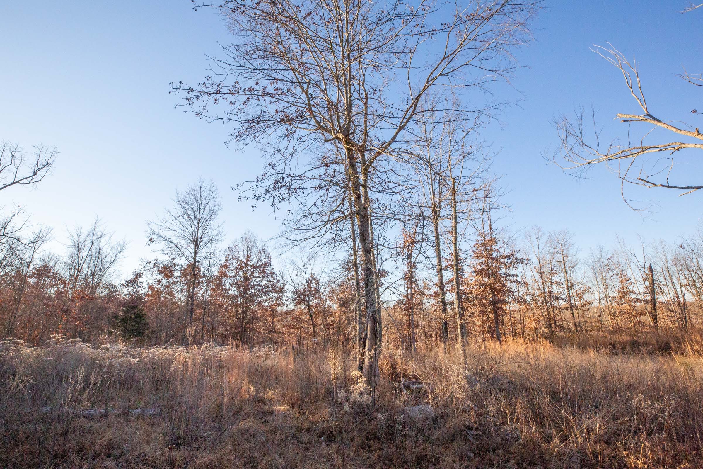 Dutchman Hollow Tract 6 photo 4