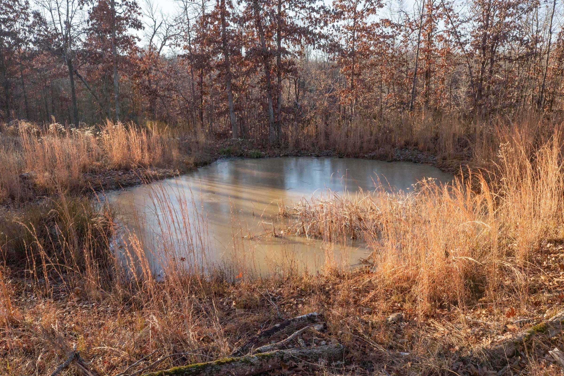 Dutchman Hollow Tract 6 photo 2