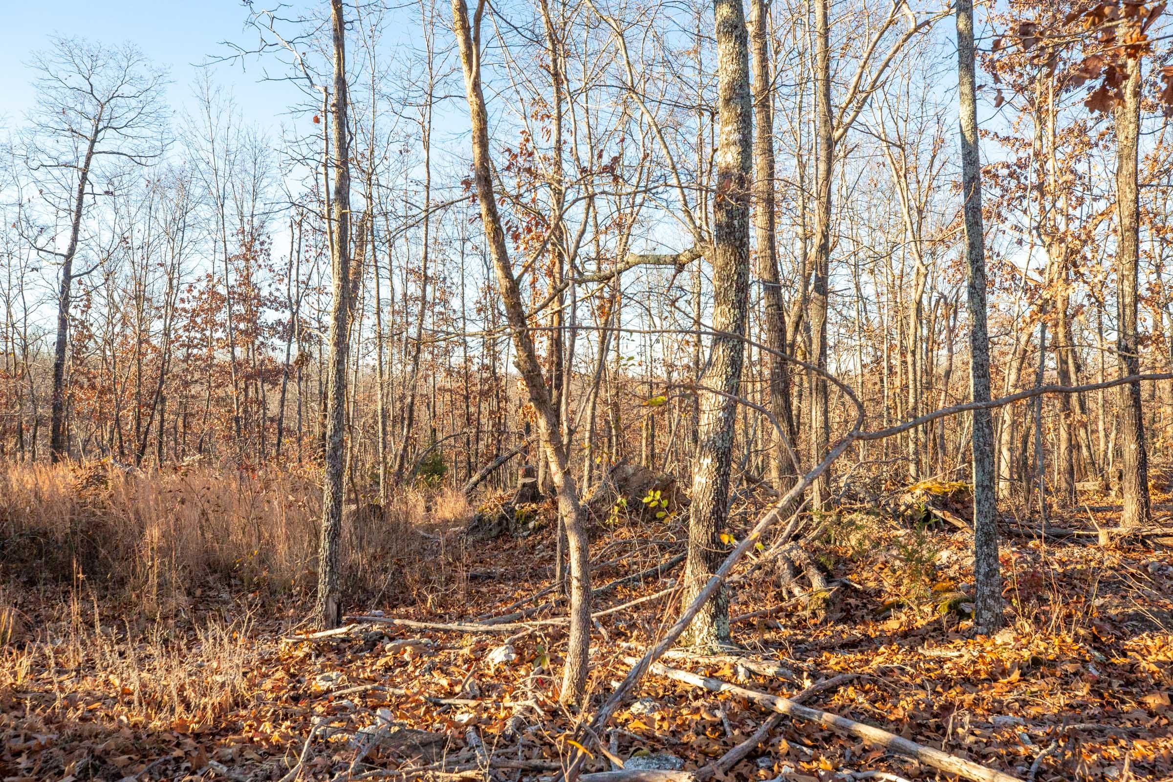 Dutchman Hollow Tract 6 photo 7